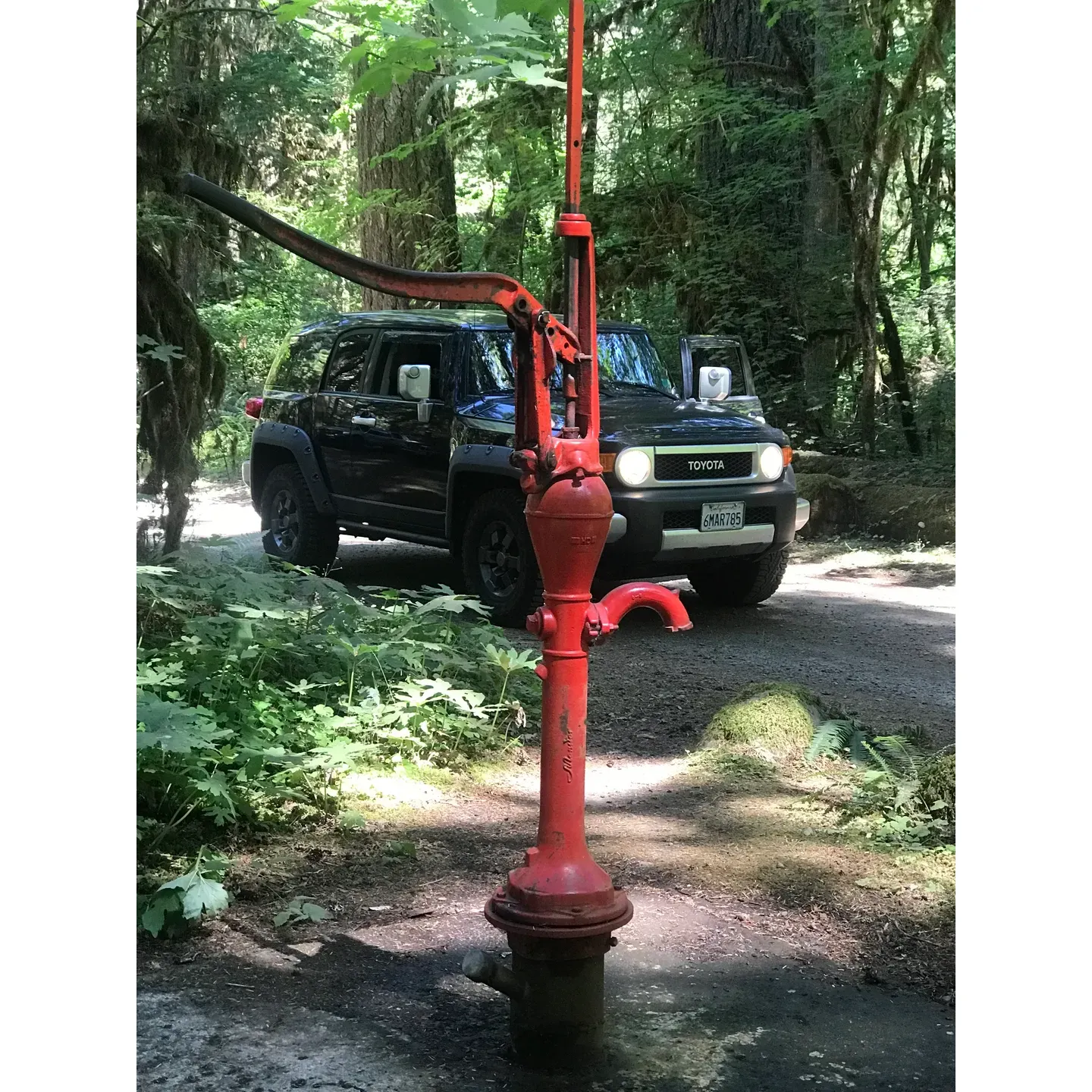 Surrounded by the tranquility of towering trees, French Pete Campground offers a serene retreat for outdoor enthusiasts seeking a peaceful escape in the Willamette Valley. Situated 12 miles south of Highway 126 on the scenic Forest Road 19, this hidden gem provides a harmonious blend of natural beauty and recreational opportunities.

With a collection of 17 spacious and varied campsites, guests are afforded an abundance of room to accommodate multiple tents, with several sites generously sized for larger gatherings. The layout ensures ample space between camps, creating a sense of privacy and seclusion. A mix of reservable and first-come-first-serve sites offers flexibility for both planners and spontaneous adventurers, with several vacancies typically available throughout the week.

Visitors commend the easy access to the gentle river from most sites, perfect for a refreshing dip or some leisurely fly fishing. French Pete Campground is an ideal starting point for explorers eager to soak in the area's natural wonders, including the soothing Terwilliger Hot Springs, the invigorating Slide Creek swimming area, and the pristine Hidden Lake.

Directly across from the campground, the unmarked French Pete trailhead invites hikers to journey along a captivating trail that meanders through the lush forest and alongside the river's rhythm. Within a short drive, the nearby small towns of Rainbow and McKenzie Bridge offer charming dining options for those looking to complement their outdoor adventures with some local flavors.

Beyond the natural allure, the campground's hosts receive accolades for their warm hospitality and invaluable guidance, eagerly sharing their knowledge of both well-trodden paths and lesser-known local gems. Campers celebrate the sense of community fostered by these friendly stewards of the forest.

While visitors are encouraged to bring potable water, the campground's overall cleanliness and attention to maintenance enhance the rustic experience. French Pete Campground stands out as a beautiful destination for those who cherish the great outdoors, offering spacious sites, easy river access, and an enchanting, wooded ambiance that beckons visitors to return again and again. Description by ChatGPT.