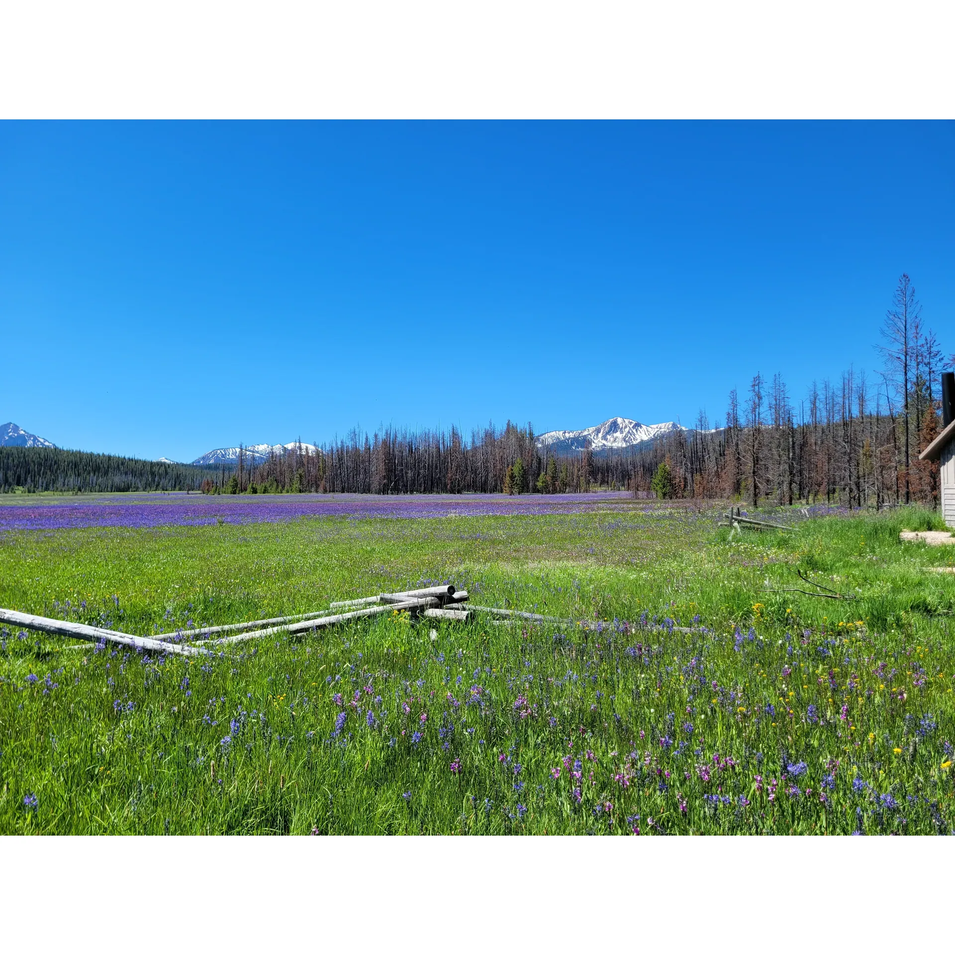 Set amidst the tranquility of a scenic landscape, Trap Creek Campground serves as a prime destination for those looking to immerse themselves in the serene embrace of nature. This picturesque campground offers a peaceful retreat with the opportunity for guests to reserve the entire site for private gatherings with friends, ensuring an exclusive and intimate experience in the great outdoors.

Visitors can indulge in the pristine condition of the grounds, including well-maintained facilities such as surprisingly clean pit toilets—a commendable feature appreciated by even the most discerning of campers. The real enchantment begins as dusk falls, with the campground transforming into a stage where the nocturnal wildlife comes to life and the unobstructed view of the Milky Way promises a stellar nighttime display—one that is bound to captivate any stargazer.

Although the mark of a past fire is present, the campground's resilience shines through with a bounty of mature trees that still stand tall, offering ample shade and perfect spots for hammocking or relaxing away from the sun's embrace. The available tent spots provide a cozy setup for camping enthusiasts, and while the former trailhead parking has been reconfigured, the essence of convenience and accessibility remains uncompromised.

For those seeking a tranquil backdrop with an authentic touch of wilderness, Trap Creek Campground is a haven where the beauty of the skies meets the allure of the landscape—a place highly recommended for its seclusion, its charm, and its capacity to turn a simple camping trip into a memorable outdoor experience. Description by ChatGPT.