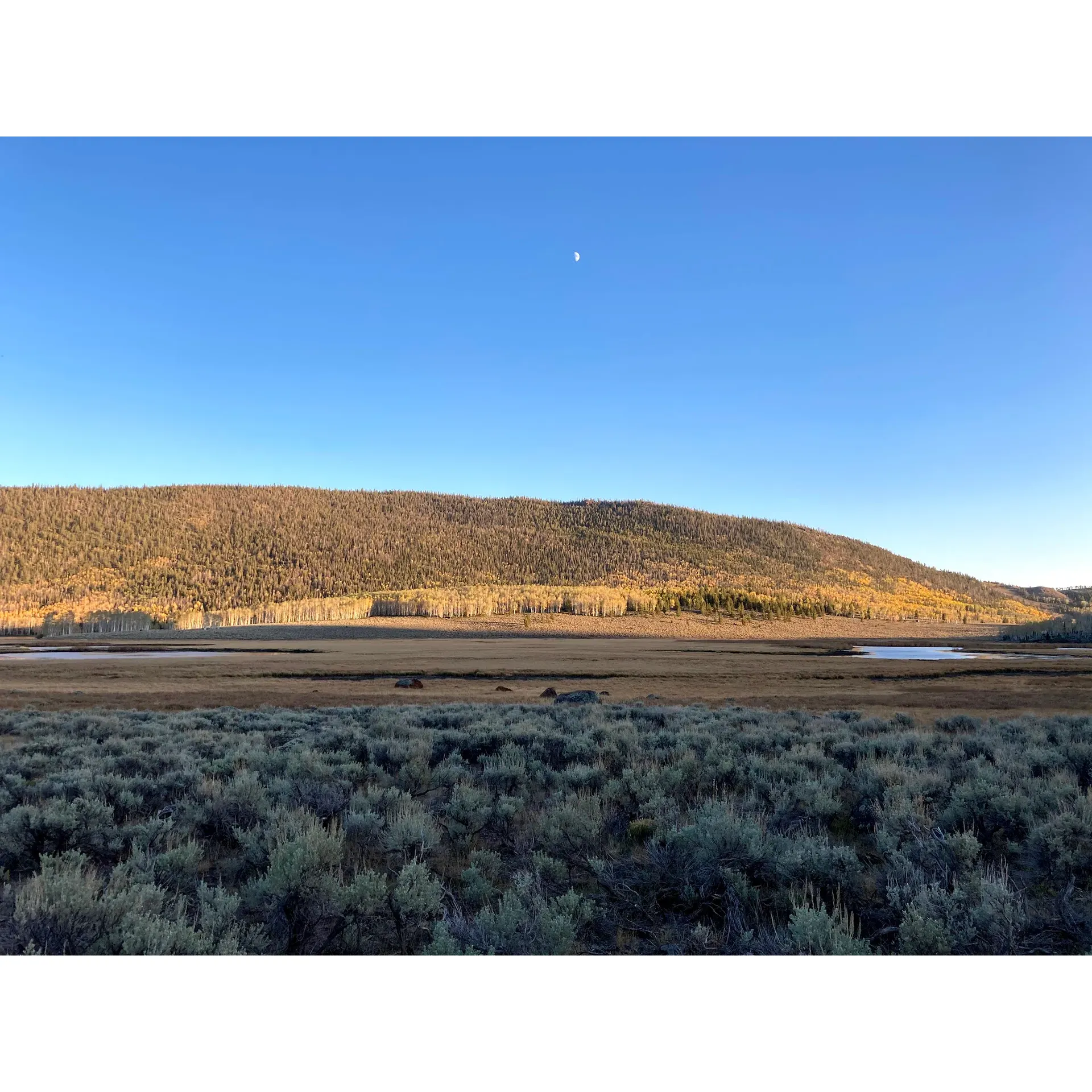 Located in the serene setting of Fish Lake, Doctor Creek Campground offers an idyllic outdoor experience for campers seeking picturesque natural beauty. Surrounded by a lush canopy of aspens, the campsite presents an inviting landscape that comes alive with the changing colors of the seasons. The true outdoor enthusiast will appreciate the open layout of the campsites, which are laid out beneath the shade of these magnificent trees, offering a perfect spot for relaxation and contemplation.

The campground boasts a convenient flush toilet facility near the entrance for added comfort during your stay. Campsites are designed with practicality in mind, with most being generally level to accommodate your camping set up, though they vary in size to fit various needs.

Visitors to Doctor Creek Campground can expect attentive service, as there is a friendly camp host on-site to assist with any inquiries, ensuring a pleasant and hassle-free camping experience. Additionally, the campground is conveniently located close to the road, providing easy access for campers and their vehicles.

For those seeking a memorable nature experience, Doctor Creek Campground is the perfect spot. It has been a chosen destination for viewing natural phenomena such as the annular solar eclipse, leaving guests in awe of the uninterrupted views and the brilliant spectacle of the sky spectacle, amplified by the pristine natural backdrop. Furthermore, the local wildlife, including free-roaming cows, adds a charming touch to the already beautiful landscape.

Cleanliness and upkeep are taken seriously here, keeping facilities tidy for all camp guests to enjoy. With continuous improvements planned, the campground looks forward to enhancing its offerings to ensure an even more exceptional outdoor experience in the future.

Whether seeking a tranquil getaway beneath the aspens, or embarking on an adventure to witness the marvels of the sky, Doctor Creek Campground provides a picture-perfect setting for both the casual camper and the avid nature lover. Description by ChatGPT.