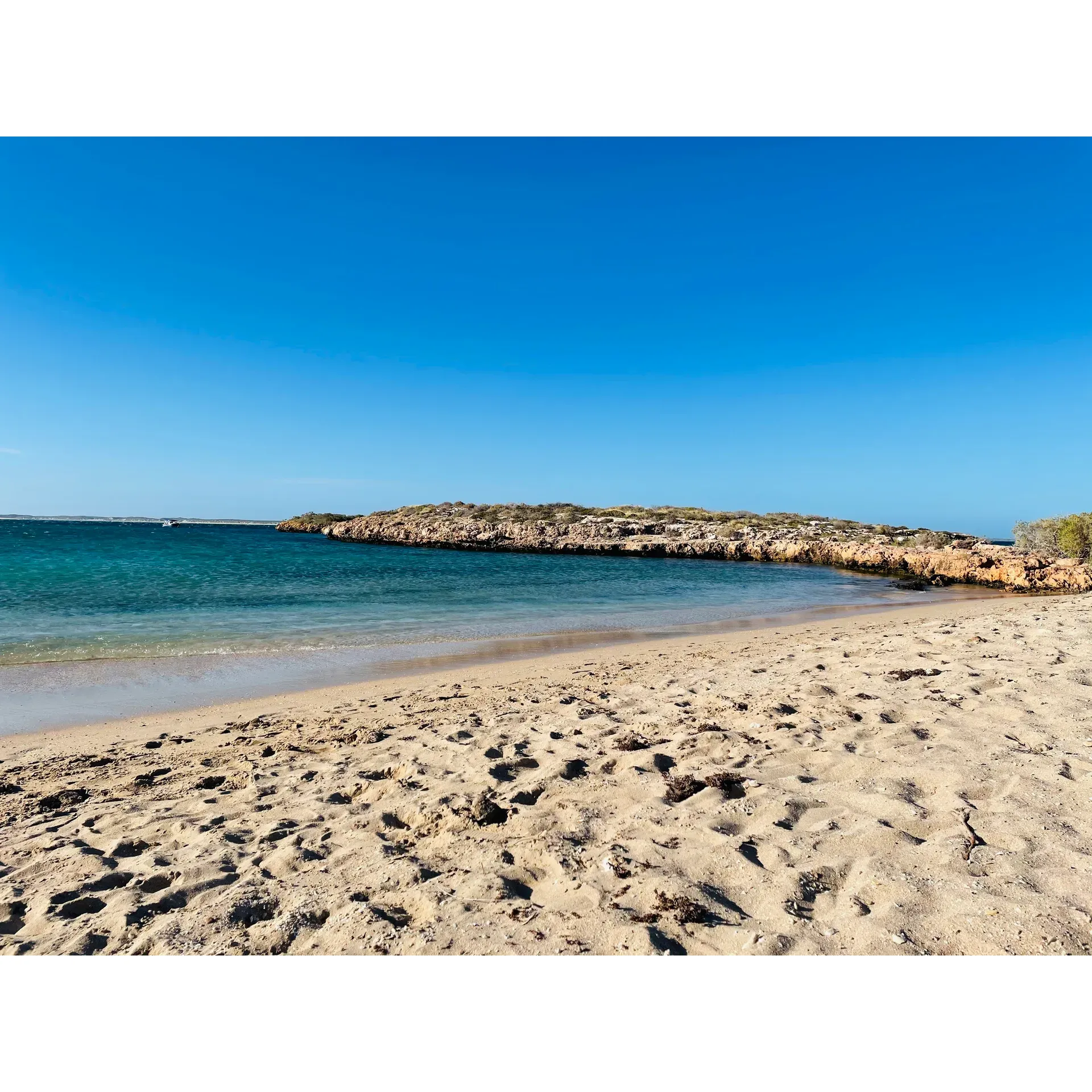 Shelter Bay Campground provides a serene coastal camping destination ideal for those looking to bask in the majestic beauty of Western Australia's shores. Set beside the glistening waters, each camp spot offers a front-row seat to the beach, allowing campers to wake up to the soothing sounds of the sea and the gentle rustle of the breeze.

For adventurers planning to explore Dirk Hartog Island, the campground serves as a perfect staging area. With proximity to the DHI ferry, it becomes a convenient location to gear up for the island's rugged charm or unwind after a day's exploration.

The campground's rangers have garnered praise for their friendly disposition and helpfulness, always ready to assist campers and ensure a memorable experience. As visitors often find themselves in the company of local wildlife, the site offers a unique opportunity to connect with nature – from witnessing the playful antics of a cheeky seal to enjoying the immersive tranquility of a coastal sunset.

While the campground is accessible via a 4WD route, known for being one of the country's most corrugated, seasoned adventurers find the journey part of the site's allure. It encourages preparation and self-sufficiency, fostering a sense of adventure even before arrival. Guests are recommended to come equipped with food, water, and all the necessary equipment to embrace the full essence of off-the-grid living.

Facilities at Shelter Bay include clean drop toilets, maintaining an environment that is both comfortable and respectful of the surrounding natural beauty. While other amenities are minimal to preserve the area's untouched charm, campers delight in the cleanliness and simplicity that contribute to the overall rustic experience.

For those seeking an idyllic coastal retreat, Shelter Bay Campground is a picturesque haven, promising both relaxation and adventure. Its well-maintained sites and the invitation to a week-long respite beckon travelers from near and far. Pre-booking is essential, with a minimum two-night stay recommended to fully appreciate what many consider one of Western Australia's favourite camping spots. Description by ChatGPT.