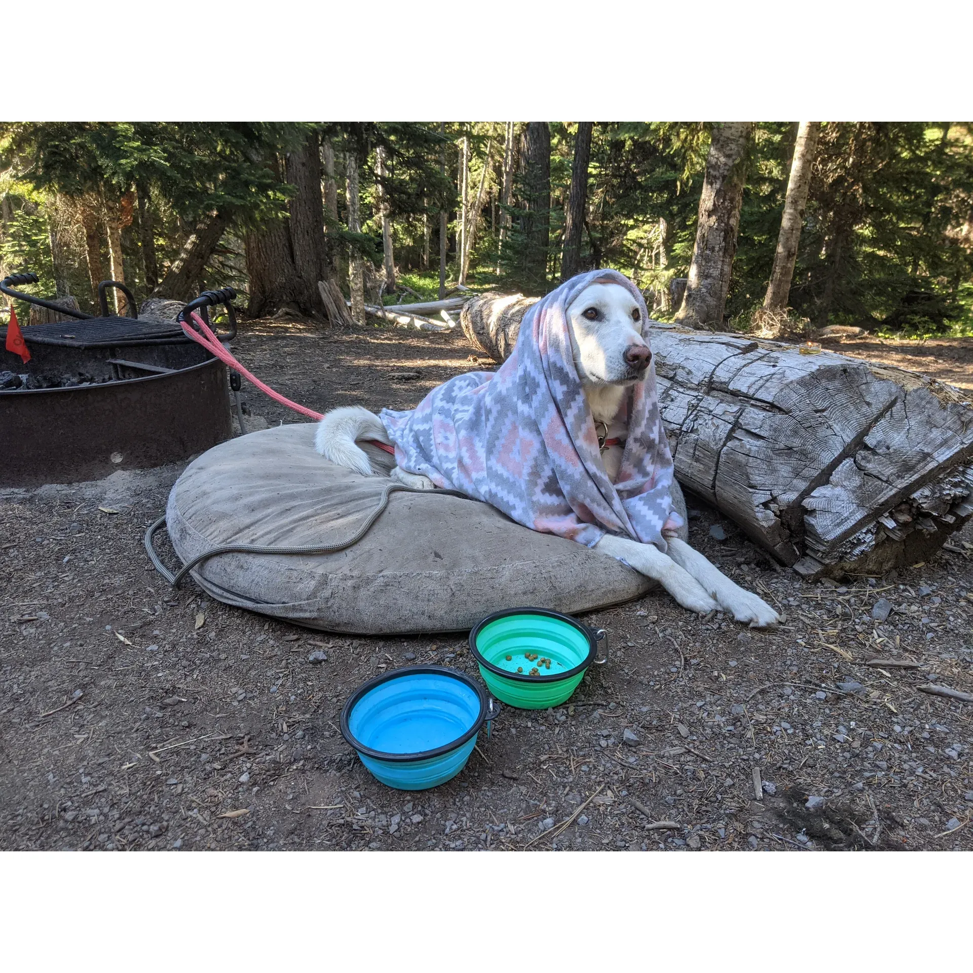 Fifteen Mile Campground offers a serene escape for outdoor enthusiasts looking for a rustic and peaceful retreat. As a prime location for car camping, this quaint campground is easily accessible via a paved road, making it an ideal spot for those looking to immerse themselves in nature without traveling off the beaten path. With its proximity to a babbling creek, visitors will find solace in the tranquil ambiance that the flowing water provides.

The campground boasts three individual sites, each offering its own unique experience. One highly sought-after site sits right next to the river, offering an unparalleled connection with the natural surroundings and enhanced privacy. Here, campers can revel in the soothing sounds of the river and enjoy a clear view of the starry sky above, creating a magical outdoors setting.

For guests who seek a simpler experience, the other two campsites still provide the essentials for an enjoyable stay. Each site comes equipped with a fire ring complete with grates, ideal for cozy campfires and outdoor cooking, as well as picnic tables for gathering and dining amidst the forest.

The campground's amenities include a well-maintained privy, adding convenience to the rustic environment. Notably, campers can enjoy this nature retreat without the worry of fees, as the campground operates on a no-charge basis, providing budget-friendly accommodations for adventurers.

Nestled close to the area's hiking and mountain biking trails, the campground serves as a great base for exploring nearby attractions, such as the breathtaking views from Flag Point Lookout. With the limited number of sites available, it's wise for would-be visitors to arrive early, especially during the week, to secure their preferred spot.

Guests are encouraged to embrace the self-sufficient nature of this camping location by packing in essentials such as water and ensuring to pack out all trash, as no trash services are provided. The return visitors and favorable accounts of stays at the Fifteen Mile Campground, including recommendations to hike the scenic Fret Creek trail, confirm that this hidden gem continues to captivate and delight campers year after year, making it a cherished destination for both first-timers and seasoned veterans of the great outdoors. Description by ChatGPT.