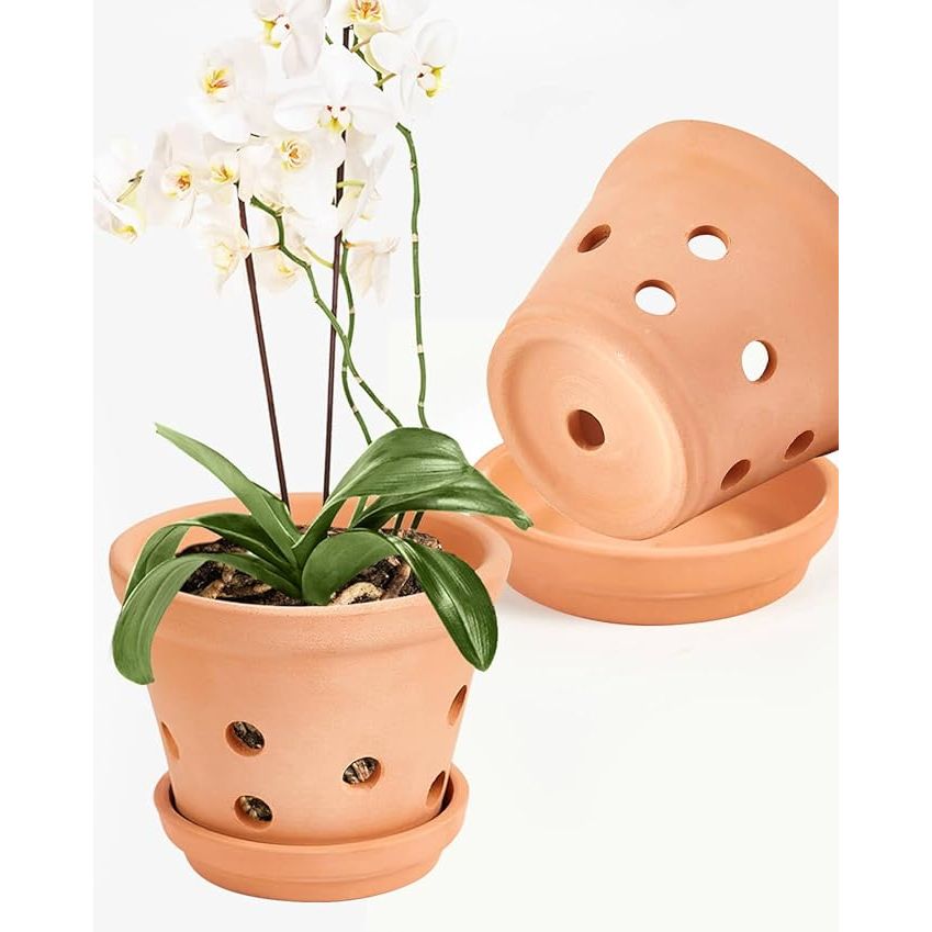The Vensovo 8 Inch Clay Orchid Pots are designed specifically for orchids, with drainage holes and saucers to prevent overwatering and promote healthy root growth. These small terracotta pots come in a set of 2 and are perfect for repotting your orchids or for displaying them indoors or outdoors.