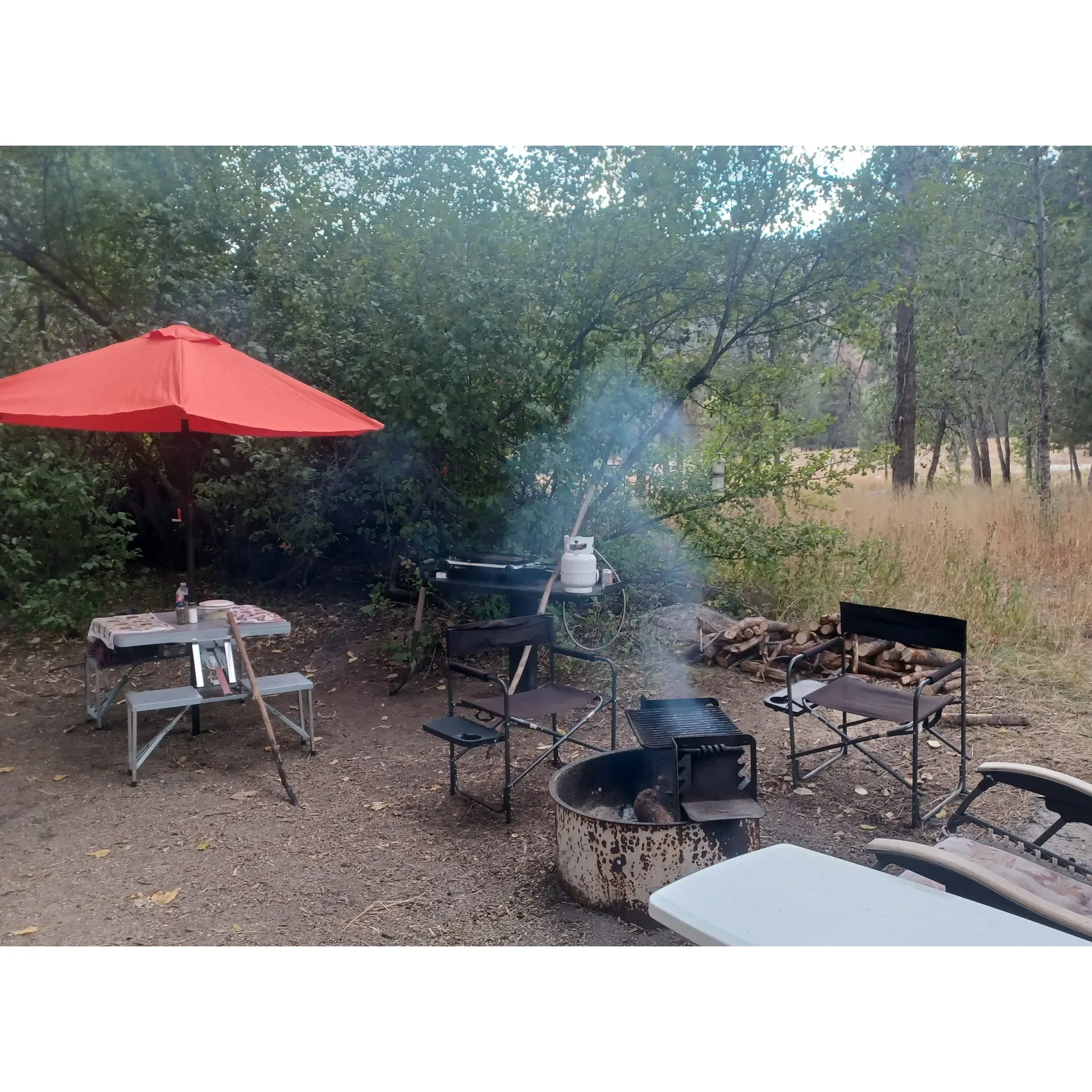 Elks Flat Campground is an idyllic retreat for camping enthusiasts who appreciate the tranquility of nature and the comfort of well-appointed campsites. Visitors can look forward to a serene ambiance that envelops the area, promising a peaceful getaway from the hustle and bustle. With spacious campsites that offer ample room for both single parties and larger groups, campers can choose from double sites reasonably priced at $20 a night or single spots for just $15, providing excellent value for outdoor experiences.

Campers can enjoy the conveniences of well-maintained amenities, including clean restrooms for added comfort during their stay. Each campsite is equipped with its own picnic table and fire pit with an integrated grill, perfect for cozy nights around the campfire or enjoying meals under the sky. Additionally, the campgrounds offer clear tent areas and a flat surface for a more stable and convenient setup of propane stoves, ensuring a seamless camping experience.

The camaraderie among campers at Elks Flat Campground is palpable, often noted by the friendly encounters and pleasant exchanges among visitors. Moreover, the proximity to Anderson Dam makes it an excellent choice for those eager to explore the surrounding natural beauty, including the river where refreshing moments and wildlife sightings await.

Elks Flat Campground has earned its reputation as a favorite among seasoned campers, many of whom wish to keep this cherished spot a delightful secret. For those planning group outings, the group site's value is unmatched, making memories for just $100 per night. Its reputation for cleanliness, particularly the well-kept restrooms, ensures a comfortable stay, allowing camppreneurs to fully immerse themselves in the joy of the outdoors without the distractions of the modern world. Description by ChatGPT.