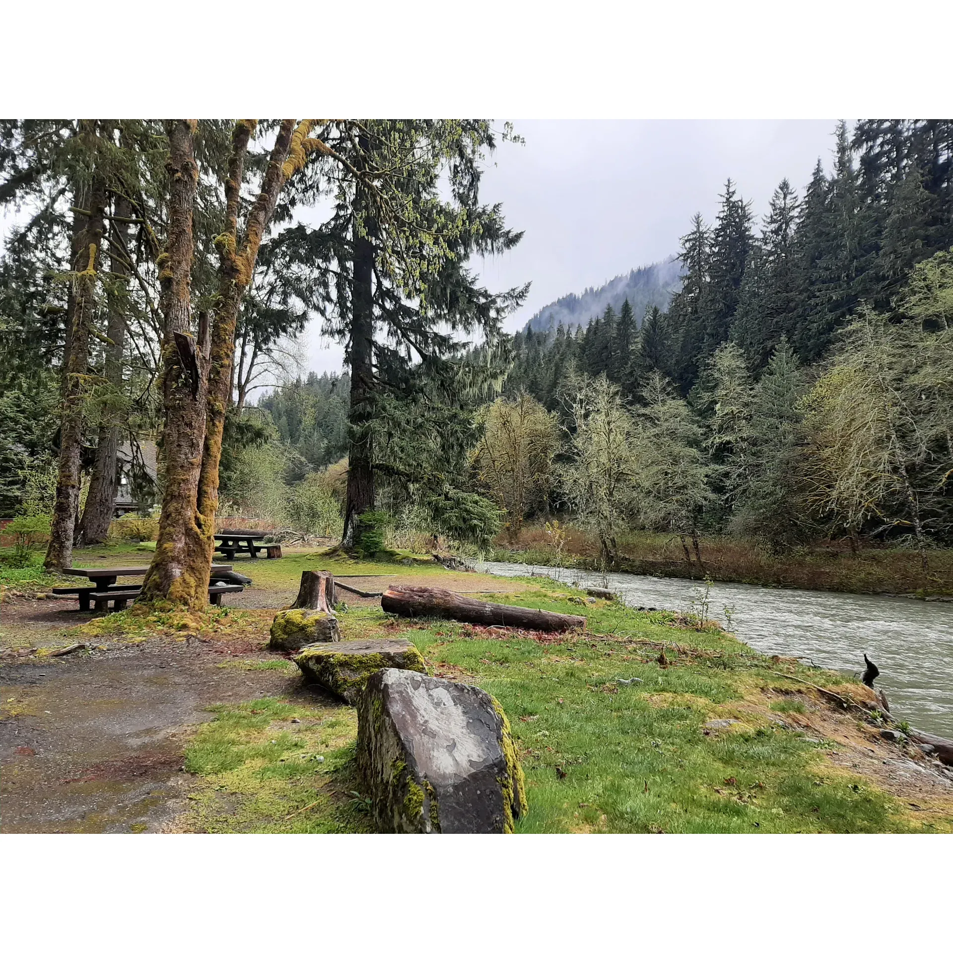 Turlo Campground is a serene outdoor getaway that truly encapsulates the essence of a nature retreat. With its strategic positioning by a river, the calming sound of rushing water can be heard from each of the well-spaced campsites, offering an auditory treat to campers seeking tranquility. The campground boasts elevated tent platforms and fire pits at every site, ensuring a comfortable and cozy experience.

A trip to Turlo Campground comes with the promise of privacy and intimacy, as the sites are designed to provide seclusion amidst the surrounding forest. The campground is pet-friendly, allowing guests to enjoy their stay with their furry companions. Visitors commend the friendly and accommodating staff who go above and beyond, from providing lighter fluid and kindling to assisting with car troubles, ensuring an unbeatable level of service.

Regarded by many as a personal favorite, Turlo Campground offers amenities such as running potable water and well-maintained rustic bathrooms, enhancing the convenience of this beautiful natural setting. The affordable pricing makes it accessible for those who wish to immerse themselves in nature without breaking the bank.

For the outdoor enthusiasts, the proximity to hiking trails and attractions like nearby ice caves makes for easy planning of daytime adventures. The campground's ease of access and the option to secure reservations online add to the seamless experience. Although devoid of modern luxuries such as showers and electrical hookups, the campground's essence lies in its simplicity and encouragement of an authentic outdoor lifestyle, with recommendations to come prepared for this immersive experience.

Overall, Turlo Campground stands out as an idyllic spot for a peaceful retreat, where the beauty of nature, together with the warmth of the campsite hosts, creates an unforgettable outdoor adventure. Whether it's enjoying private, sunny locations above the river, the convenience of nearby facilities, or simply embracing the great outdoors, a stay here is bound to be a highlight for any camping enthusiast. Description by ChatGPT.