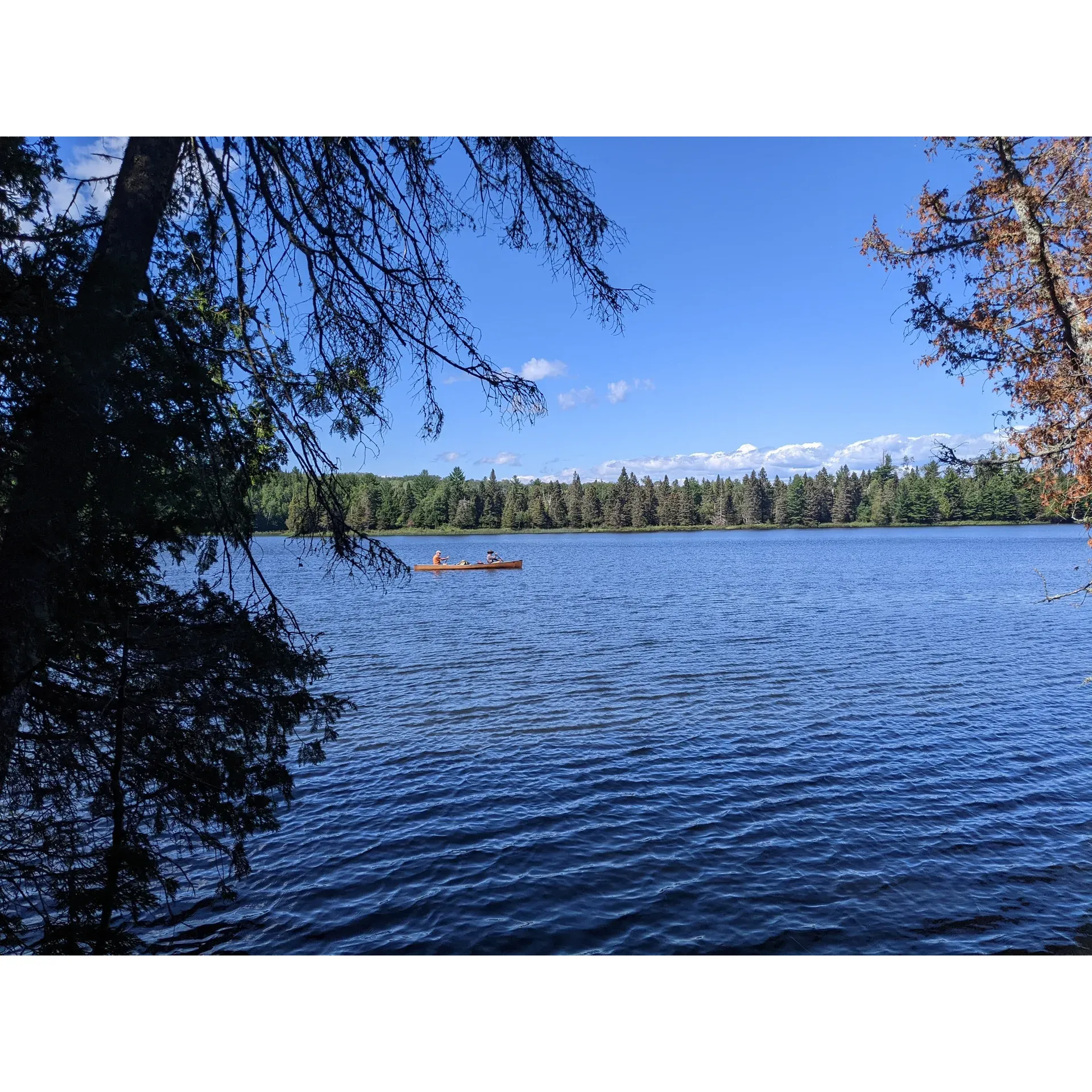 West Chickenbone Lake Campground offers a serene escape for outdoor enthusiasts seeking the tranquility of a lakeside retreat. This beautiful campground is the perfect gateway to the pristine waters of Chickenbone Lake, providing easy water access to visitors keen on experiencing the great outdoors. For those with a keen eye, the majestic sight of moose across the water can be an awe-inspiring experience, enhancing the natural splendor of the campsite.

A short but invigorating 5-minute walk from the Greenstone Ridge trailhead opens up to this secluded haven, where the blend of peaceful surroundings and lush greenery promises a restful stay. The individual campsites, particularly site 4 and the highly coveted site 6, offer spacious grounds for guests to set up a home away from home, right on the water's edge.

Nature lovers will appreciate the lively local wildlife, with friendly rabbits often found hopping around the premises, adding a charming touch to the camping experience. Moreover, West Chickenbone Lake Campground is a hub for through-hikers seeking to recharge during their adventures. It serves as a popular stopover point that captures the essence of camaraderie among travelers.

The lake views available from the campsite offer a picturesque backdrop for guests to enjoy while purifying their water, ensuring that they are well-prepared for the days ahead. As a favored spot for many, arriving early to claim a prime spot is advisable. Under the cloak of night, the sounds of moose traversing the area are a unique reminder of the unspoiled habitat that surrounds West Chickenbone Lake Campground.

Embodying the spirit of the great outdoors, this campground promises a delightful stay, complete with scenic vistas, wildlife encounters, and a sense of peaceful coexistence with nature that will make any camper's experience a memorable one. Description by ChatGPT.