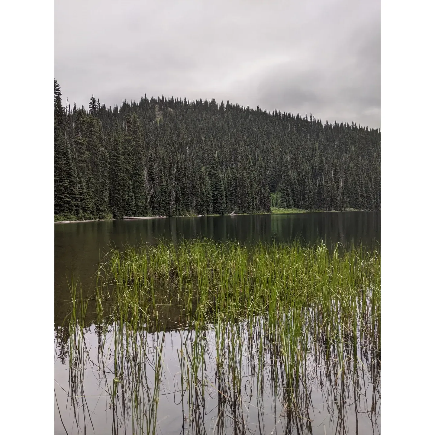 Poland Lake Trail is a popular hiking destination located in British Columbia, Canada. This scenic trail is known for its beautiful views of the surrounding mountains and forests, as well as the serene Poland Lake itself. The trail is well-maintained and suitable for hikers of all skill levels, making it a great option for both experienced hikers and beginners looking to explore the outdoors.

The trailhead for Poland Lake Trail is located at Poland Lake Trail, British Columbia V0X 1R0, Canada. The trail is approximately 10 kilometers long and offers a moderate level of difficulty, with some steep sections and elevation gain along the way. Hikers can expect to encounter a variety of wildlife and plant species as they make their way through the forested terrain.

Visitors to Poland Lake Trail can enjoy a peaceful and immersive nature experience, with opportunities for picnicking, bird-watching, and photography along the trail. The trail is open year-round, but it is recommended to check trail conditions before heading out, especially during the winter months when snow and ice may be present. Overall, Poland Lake Trail is a must-visit destination for anyone looking to enjoy the beauty of British Columbia's natural landscapes. Description by ChatGPT.