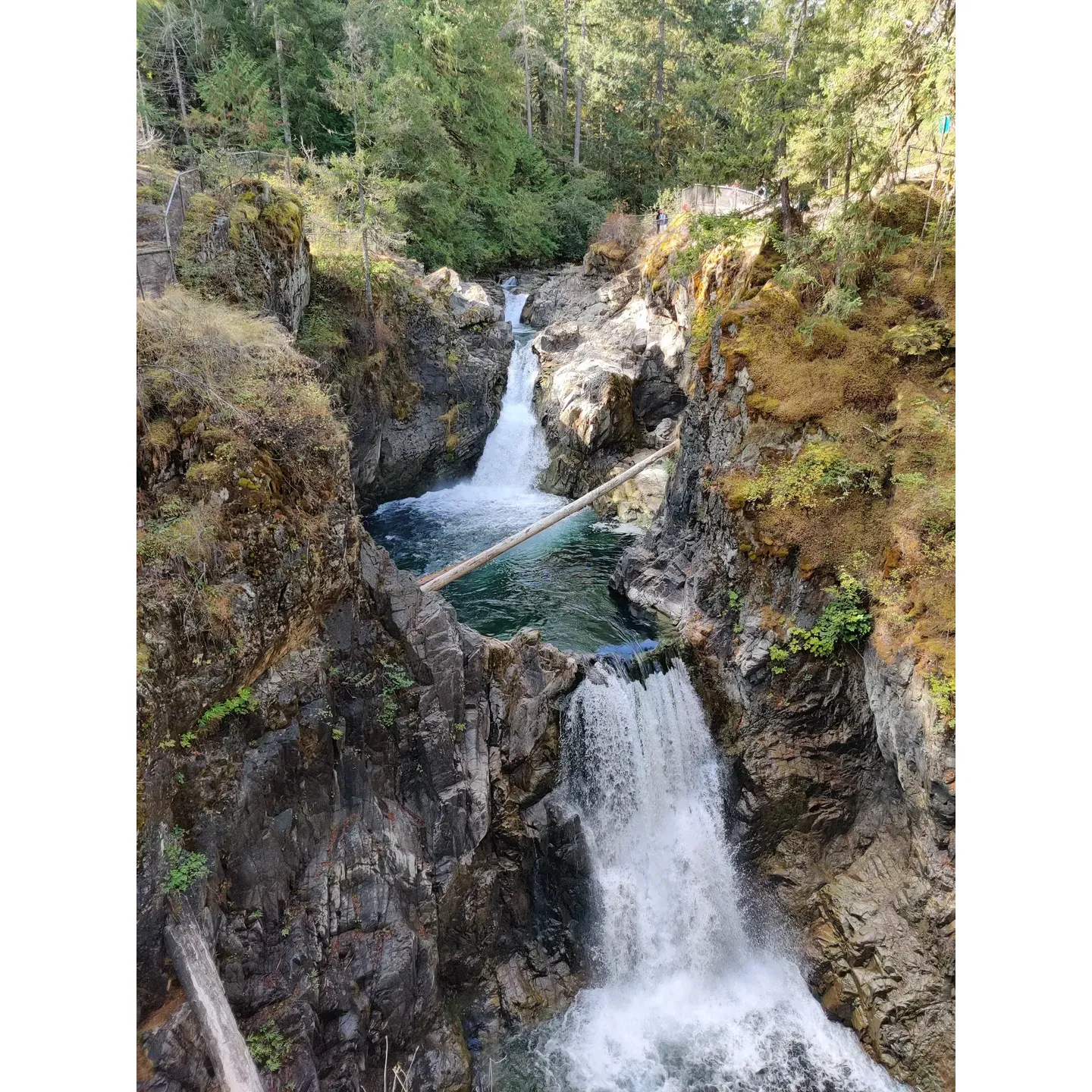 Little Qualicum Falls Campground is a picturesque escape for outdoor enthusiasts seeking adventure within a lush provincial park environment. Whether you are an avid hiker or a family looking to explore, the campground provides an array of opportunities suitable for various fitness levels, with enchanting trails leading to the lower and upper falls. Spanning across the landscape, three footbridges offer stunning vantage points to admire the cascading waters and vibrant forest scenery.

For cycling aficionados, the campground serves as a perfect starting point for a scenic 9-kilometer journey to the charming town of Coombs, renowned for its unique "Goats on the roof" attraction. The spacious road shoulders ensure a safe and enjoyable ride to complement your camping experience.

Guests at Little Qualicum Falls Campground revel in the serenity and moderate seclusion of the campsites, such as the coveted campsite #35, which offers a touch of privacy amidst the natural beauty. Although amenities such as showers are not available, the campground is equipped with flush toilets to accommodate those who prefer modern conveniences over traditional pit toilets.

Families with children will find delight in the on-site playground and a welcoming river swimming spot, which provide endless hours of enjoyment. Meanwhile, abundant hiking trails meander through the park, boasting spectacular waterfall views and tranquil walkways.

As a central hub for numerous activities in the area, Little Qualicum Falls Campground stands out with well-maintained large campsites, running water facilities, and a lower campground adjacent to the river for a refreshing dip. With its majestic scenery and a commitment to delivering a well-rounded camping experience, it remains a favourite amongst provincial park visitors. Description by ChatGPT.