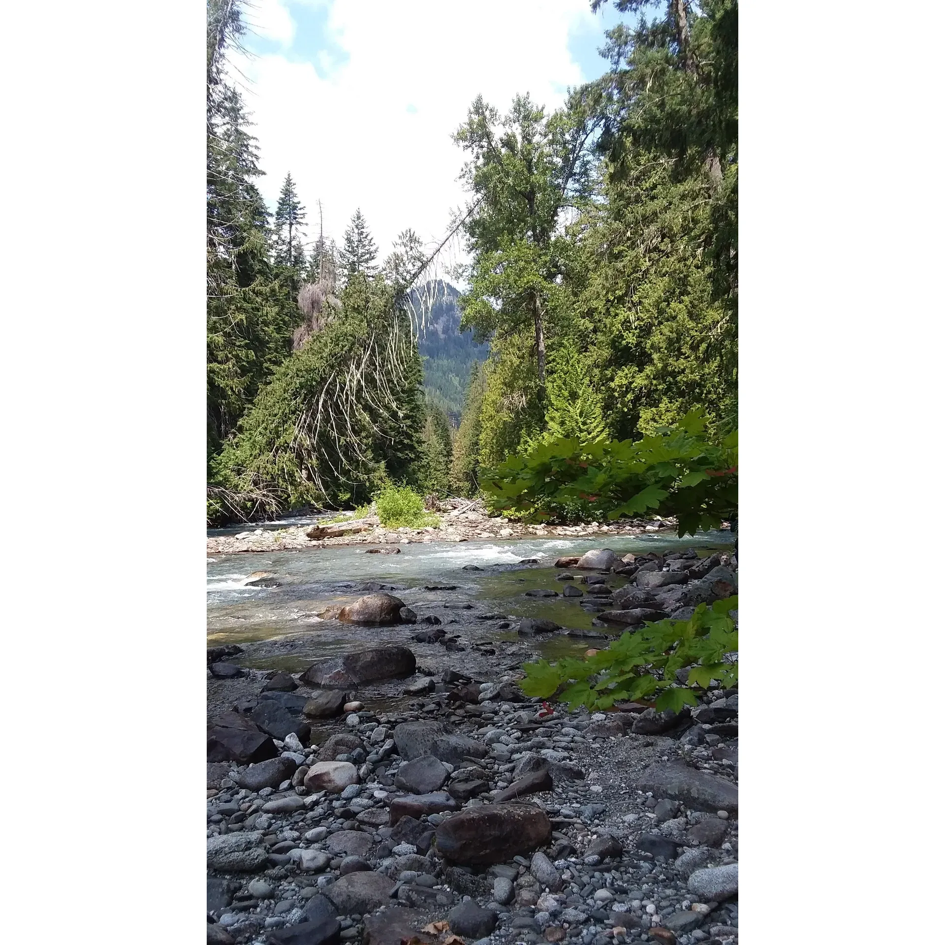 Grasshopper Meadows Campground offers a tranquil outdoor escape, conveniently positioned close to the flowing White River. Guests at the campground can indulge in the natural splendor with several easy and short strolls that bring nature enthusiasts right to the river's edge within 10 minutes. This proximity makes for an idyllic spot for those eager to engage in water activities or to simply savor the serene ambiance.

Photography enthusiasts will find plenty of inspiration at the campground, where nice days reveal breathtaking scenic vistas ripe for capturing memorable moments. The beauty of the setting is enhanced by the majestic old trees, enhancing the campground's charm and making it a favored spot for visitors seeking both relaxation and aesthetic pleasure.

For those planning a day out in the open, the campground is equipped with a host of good-quality picnic tables, offering the perfect setting for an al fresco meal amidst nature. This feature adds a touch of comfort and convenience, allowing families and friends to come together to enjoy good food in the great outdoors.

Privacy is yet another luxury afforded by Grasshopper Meadows Campground. The secluded nature of the campground makes it a hidden gem for travelers searching for a peaceful retreat. For adventurers equipped with vehicles suitable for the rugged road that leads to the campground, the journey adds an element of excitement and exclusivity to the camping experience.

The surrounding environment, teeming with flora and fauna, completes the picturesque setting. Campers are encouraged to come prepared with mosquito repellent to ensure an undisturbed and comfortable stay.

Overall, Grasshopper Meadows Campground is a delightful spot for nature lovers and those looking to escape the hustle and bustle of daily life. With its beautiful landscapes, proximity to the White River, and the privacy it offers, the campground is positioned as an excellent choice for an outdoor getaway. Description by ChatGPT.