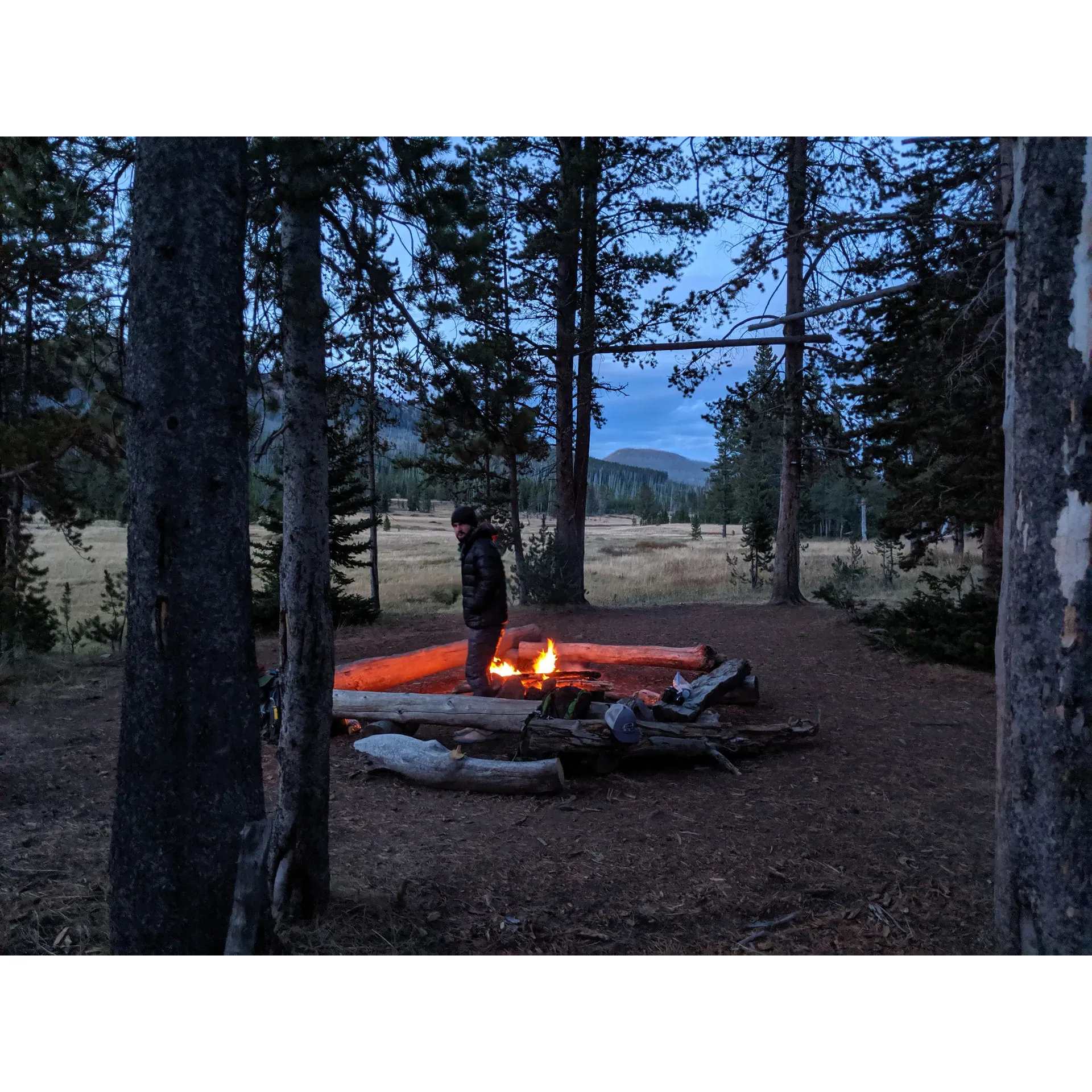 Mist Creek Pass campsite offers a premier backcountry experience for adventurers seeking immersion in the natural splendor of American wilderness. Renowned for its scenic beauty, this idyllical retreat is a highlight for many on their journey from Lamar Valley to Pelican Valley. The untouched landscape presents a breathtaking canvas where wildlife enthusiasts can revel in the true essence of nature.

Visitors often acclaim the sense of solitude and connection to the environment as a treasured aspect of their stay. This pristine setting affords unparalleled opportunities for wildlife observation, from majestic grizzlies to the enchanting sight of a mother bear and her cubs. The encounters, observed safely from a distance, add a thrilling dimension of wilderness authenticity to the outdoor experience.

A stay at this locality assures a serene backdrop that complements the thrills of wildlife interaction. The campsite becomes a base where the untouched beauty of nature is on full display, inviting hikers to rest and recharge amidst the tranquility before embarking on the next leg of their backcountry expedition. Description by ChatGPT.