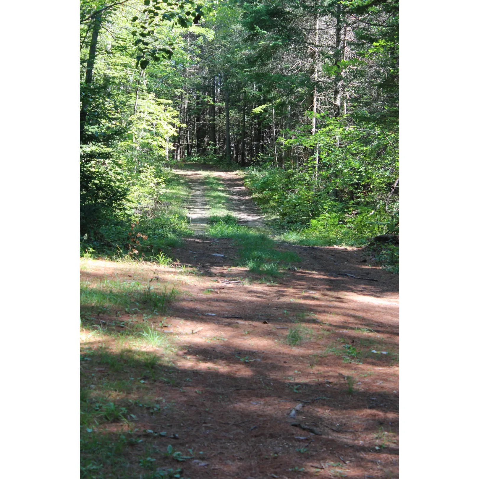 Paul Bunyan Campground emerges as a charming haven for families, couples, and solo adventurers seeking an immersive outdoor experience amidst the splendor of a well-manicured natural landscape. Boasting an array of activities, the campground serves as a perfect retreat for those wishing to engage in recreational fun or simply unwind in a serene setting. The grounds are complemented by not one, but two playgrounds that cater to the energy and excitement of younger guests, alongside a pristine pool that promises refreshing dips on warm days. 

Sprawling open fields offer ample space for a variety of sports and leisure pursuits, while facilities like volleyball nets and horseshoe pits invite friendly competition and camaraderie among guests. The cleanliness of the grounds extends to thoughtfully maintained bathrooms, enhancing comfort with the convenience of complimentary hot showers—a luxury appreciated by all who stay.

The community spirit of Paul Bunyan Campground shines through in the engaging events that pepper the calendar. From potluck dinners to ice cream socials, and from pancake breakfasts complete with fresh coffee and juice to other festive gatherings, the spirit of conviviality is ever-present. This inclusive atmosphere is underscored by a dedicated and affable staff, including owners known for their warm interaction and personal touch, ensuring that each visit remains a memorable one.

The accommodations cater to a variety of preferences, with spacious campsites that welcome the establishment of a temporary home under the stars. Seasonal campers contribute to the friendly village vibe, creating a neighborly ambiance that enhances the stay. Whether visiting for a holiday or dropping in without prior reservations, all guests are met with exceptional hospitality that underscores the campground's commitment to a stellar visitor experience. Return visits are a testament to Paul Bunyan Campground's allure, as travelers from near and far earmark this destination as a must-return spot in the Bangor area, eagerly anticipating their next outdoor adventure. Description by ChatGPT.