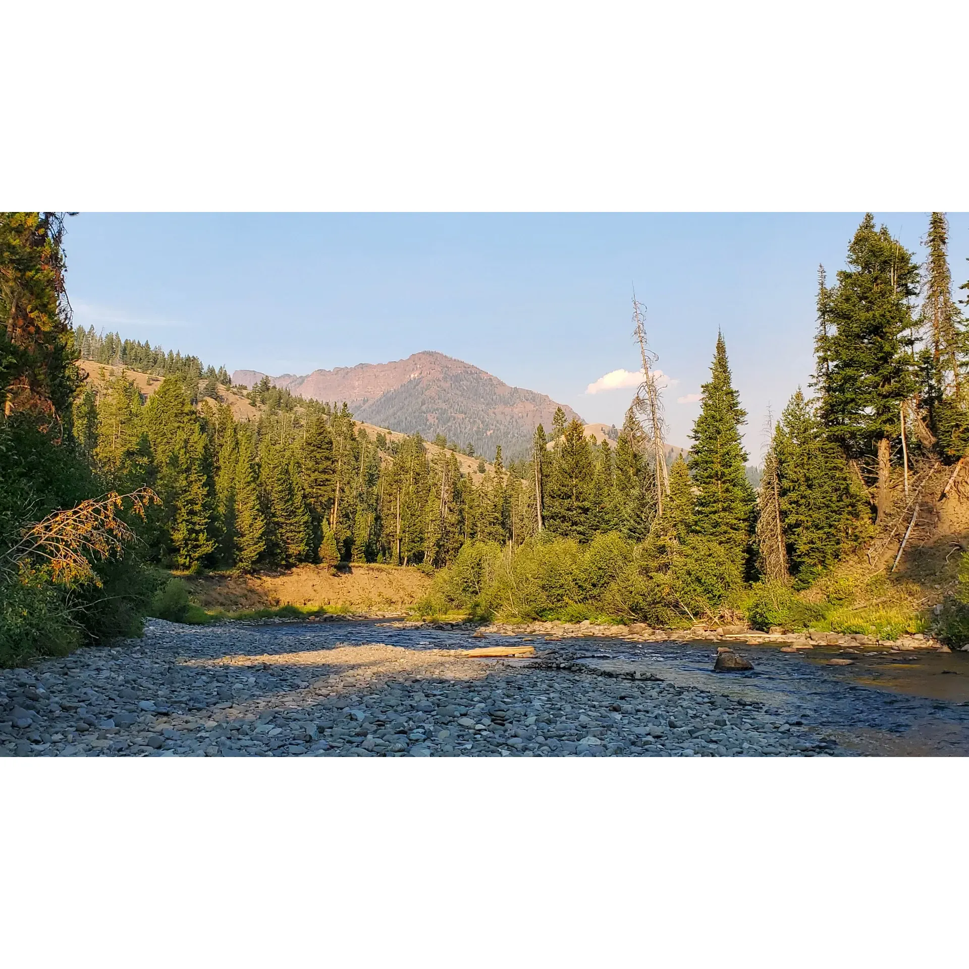 Threemile Campground offers an enchanting retreat into the wild, positioned just a stone's throw away from the eastern entrance to the renowned Yellowstone National Park. Its pristine location by the North Fork of the Shoshone River provides an immersive nature experience for visitors seeking respite from the bustle of daily life.

With roughly 20 campsites available, this campground ensures a sense of solitude and privacy, as the abundant trees offer a natural barrier between sites. Campers have the convenience of pull-thru spots, making setup seamless for vehicles up to 32 feet in length.

Attention to detail is evident in the campground's upkeep, with campers often citing the well-maintained grounds as a highlight of their stay. Tranquility envelops the area, punctuated only by the gentle sounds of a small creek that meanders along the campground's backside, ensuring peaceful nights under star-studded skies.

Although the campground maintains a rustic charm with no wifi connectivity, modern comforts have not been completely ignored, as evidenced by the newer vault toilets that offer a clean and comfortable experience. Additionally, a fresh water pump is available near the host's site, providing the essential conveniences for a comfortable stay.

Site #17, located on the east, garners special mention for its ease of access and proximity to river access, allowing guests to enjoy the refreshing embrace of the Shoshone with little effort. Moreover, the campground's prime location just three miles from the Yellowstone Park entrance makes it an ideal basecamp for day trips and explorations into the park.

For those who revel in the beauty of the outdoors, Threemile Campground is a perfect no-frills haven. Despite its closeness to the highway, riverfront sites envelop guests in a symphony of natural sounds, effectively masking any road noise. The campground also serves as a gateway to local adventures, with a trailhead just across the road inviting visitors to discover the area's hikes and natural wonders.

Guests of Threemile Campground are encouraged to embrace the presence of the local wildlife, including bears, which adds an element of excitement to the authentic wilderness experience. Embodying a deep respect for nature, the campground operates on a hard-sided campers-only policy for safety and preservation.

The beauty and serenity of Threemile Campground ensnare the hearts of its visitors, compelling many to extend their stays and already plan their return to this scenic outdoor sanctuary. Description by ChatGPT.