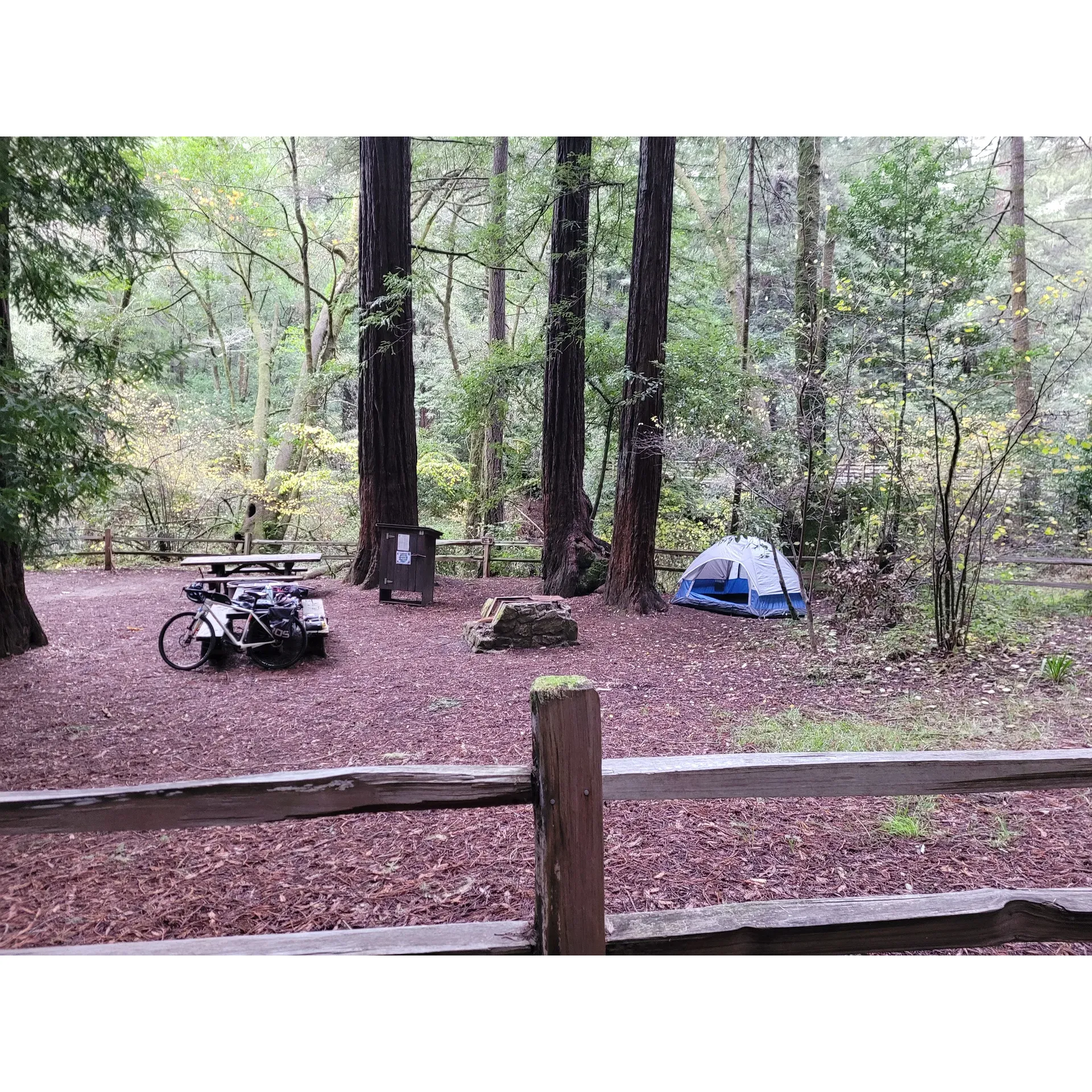 The Hike/Bike Campsite located at 2 Taylor Park Rd in Lagunitas, CA 94938 is a popular destination for outdoor enthusiasts looking to explore the beautiful Marin County area. The campsite is situated in the Samuel P. Taylor State Park, offering a peaceful and serene setting for visitors to enjoy.

Visitors to the Hike/Bike Campsite can take advantage of the numerous hiking and biking trails that wind through the surrounding redwood forests and meadows. The campsite offers basic amenities such as picnic tables, fire pits, and restroom facilities, making it a convenient and comfortable place to spend the night.

Campers can also explore nearby attractions such as Point Reyes National Seashore, Mount Tamalpais State Park, and the quaint town of Lagunitas. With its convenient location and stunning natural scenery, the Hike/Bike Campsite is a fantastic choice for those looking to experience the beauty of Northern California. Description by ChatGPT.