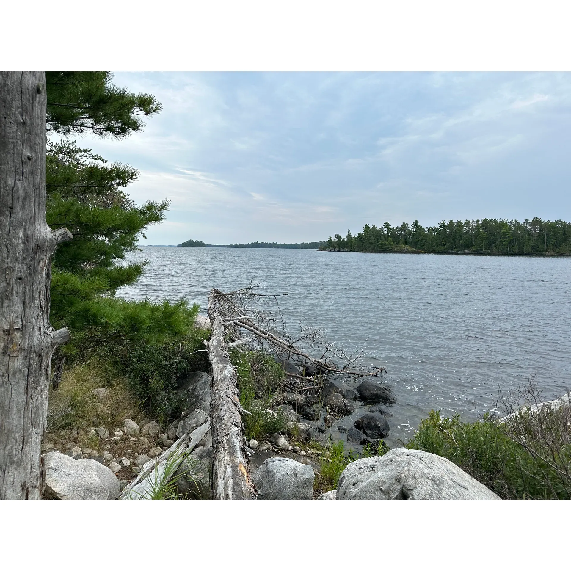 Loon Cove Campsite epitomizes the serene and unspoiled outdoor experience at Voyageur’s National Park. Boasting a prime location barely two nautical miles from the accessible launch point near the Rainy Lake Visitors Center, it presents an exclusive retreat where solitude and tranquillity reign. With the campsite situated on its own island, visitors are treated to a unique sense of privacy, often remarking on the delight of not encountering another soul, allowing for a deeply personal connection with nature.

One of the remarkable features of this campsite is the convenient beach landing spot for boats, which effortlessly marries accessibility with the remoteness of the location. Adventure seekers arriving by watercraft will find that both embarkation and disembarkation are as smooth as the lake's surface at dawn.

Guests can expect to stay connected even in the midst of nature, as the site provides excellent cell reception for AT&T users. This unexpected convenience ensures that visitors can share their experiences in real-time or stay in touch with the outside world as desired. 

The campsite is well-equipped for comfort with two designated tent pads, providing a solid and level foundation for setting up a secure and comfortable sleeping arrangement. Visitors can rest assured that their accommodations will blend the rugged charm of the outdoors with the necessary creature comforts. Whether you're breathing in the fresh air by day or gazing at a starlit sky by night, Loon Cove Campsite delivers an outstanding camping experience that harmonizes adventure with the peace of natural solitude. Description by ChatGPT.