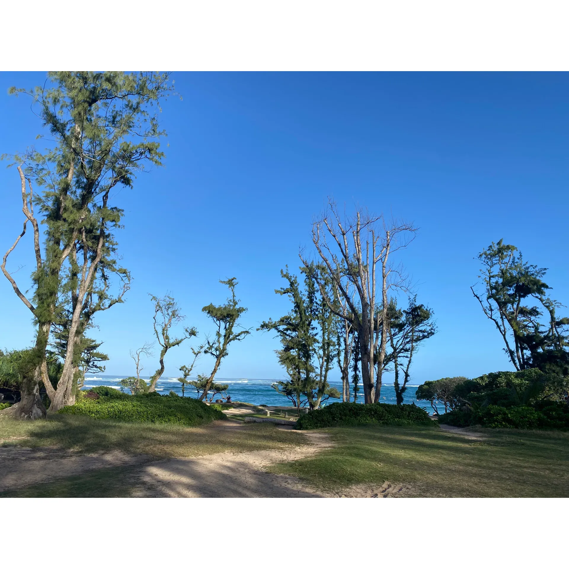 Malaekahana Beach Campground offers an idyllic retreat for those seeking a serene coastal getaway. With reasonably priced accommodations and a prime location right on the beach, campers can indulge in the soothing sounds of the ocean throughout the day and night. A mere 30-second stroll from the tents will bring guests to the water's edge, where they can experience the allure of the sea up close.

The campsite presents a mixture of modern conveniences and the simplicity of outdoor living. Essential facilities such as potable water right at the taps and tidy restrooms support a comfortable stay, while outdoor showers connect guests to the natural environment. For those preferring more privacy or staying multiple days, options are available that provide added comfort.

The exceptional hospitality of the front desk staff enhances the overall experience, creating an atmosphere that guests yearn to return to regularly. Campers can choose between diverse camping areas that offer a blend of solace and community, ensuring that everyone can find their perfect spot.

The location is not only perfect for beachgoers but also for nature enthusiasts who enjoy witnessing local wildlife, like sea turtles in their natural habitat, and horses from the nearby ranch. The campgrounds are thoughtfully designed to maintain a sense of privacy and tranquility, ensuring that the majestic ocean breezes and stunning sunrises can be enjoyed to the fullest extent.

For those who enjoy the starlit sky, the minimal light pollution grants a spectacular view of the night heavens. With a variety of camping options, including sheltered hales, the campground caters to a wide range of preferences, whether you're looking to embrace the elements or find shelter from them.

Malaekahana Beach Campground is a cherished destination that melds affordability with an unspoiled beachfront ambiance. It's a place where memories are made, and the charm of a simple, unhurried beach life is preserved. Whether it's for a short staycation or a longer retreat to nature, the campground promises a delightful and refreshing escape. Description by ChatGPT.