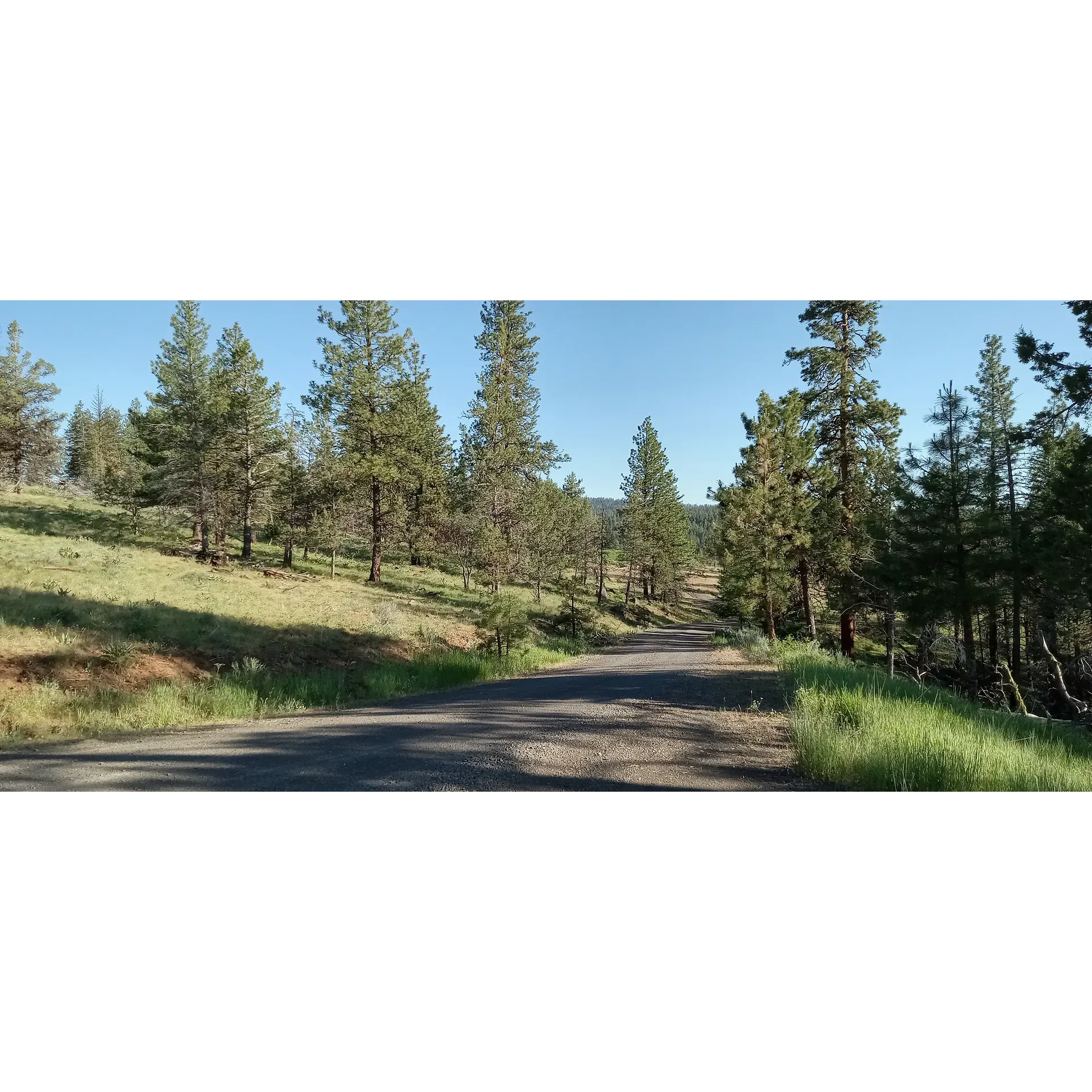 Mud Springs Horse Camp is a popular horse camping destination located in Paulina, Oregon. It offers a peaceful and scenic setting for horse enthusiasts to enjoy the great outdoors with their equine companions. The camp is nestled among mature pine trees and offers easy access to miles of scenic trails for riding.

The camp features several amenities to make your stay comfortable, including horse corrals, picnic tables, fire rings, and vault toilets. Water is available for horses, but campers are advised to bring their own drinking water. There are no designated campsites, but plenty of space for setting up camp with your horses.

Mud Springs Horse Camp is a great choice for those looking to explore the beautiful landscapes of central Oregon on horseback. Whether you're a seasoned rider or a beginner looking to experience a new adventure, this camp provides a relaxing and enjoyable experience for all. Description by ChatGPT.