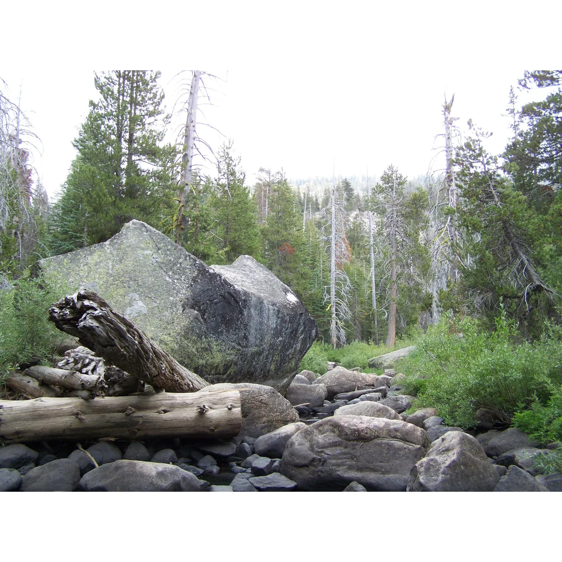 Herring Creek Campground provides a delightfully unspoiled outdoor experience for nature lovers and adventure seekers alike. Tucked away in a serene conifer forest near the refreshing Herring Creek, and with the charming ambience of the high Sierra at an elevation of 7,400 feet, this campground is a treasured retreat for those looking to escape the bustle of daily life.

Visitors to the campground can look forward to a selection of 7 well-spaced sites, each furnished with a sturdy picnic table and an accommodating fire ring, perfect for evening storytelling and stargazing. The main thoroughfares and parking pads maintain their natural earth charm, enhancing the rustic experience.

For those with an inclination for exploration, the campground provides easy access to an array of enticing outdoor activities. The nearby Trail of the Gargoyles offers a mesmerizing hike with fascinating rock formations, while Herring Creek and Herring Creek Reservoir beckon anglers and paddlers to enjoy their tranquil waters.

Guests seeking a more immersive backpacking venture will appreciate the walk-in campsites that cater to both hikers and those with smaller vehicles. Outdoor purists can delight in off-the-grid camping, with no hookups or plumbing to distract from nature's allure. A nearby vault toilet is meticulously maintained, ensuring basic comfort while preserving the environment.

Should you require last-minute essentials or a touch of civilization, the Strawberry General Store is just a short drive away, granting you peace of mind and convenience. However, the surrounding natural beauty tends to captivate guests, inviting you to savor the stillness and purity of this outdoor haven.

At Herring Creek Campground, you are encouraged to immerse yourself fully in the wilderness. Embrace the simplicity of life by the creek, indulge in the melody of birds, and reconnect with nature. Remember to tread gently and preserve the pristine condition of the forest, adhering to the principle of "leave no trace" to ensure that this secluded paradise remains a sanctuary for generations to come. Description by ChatGPT.