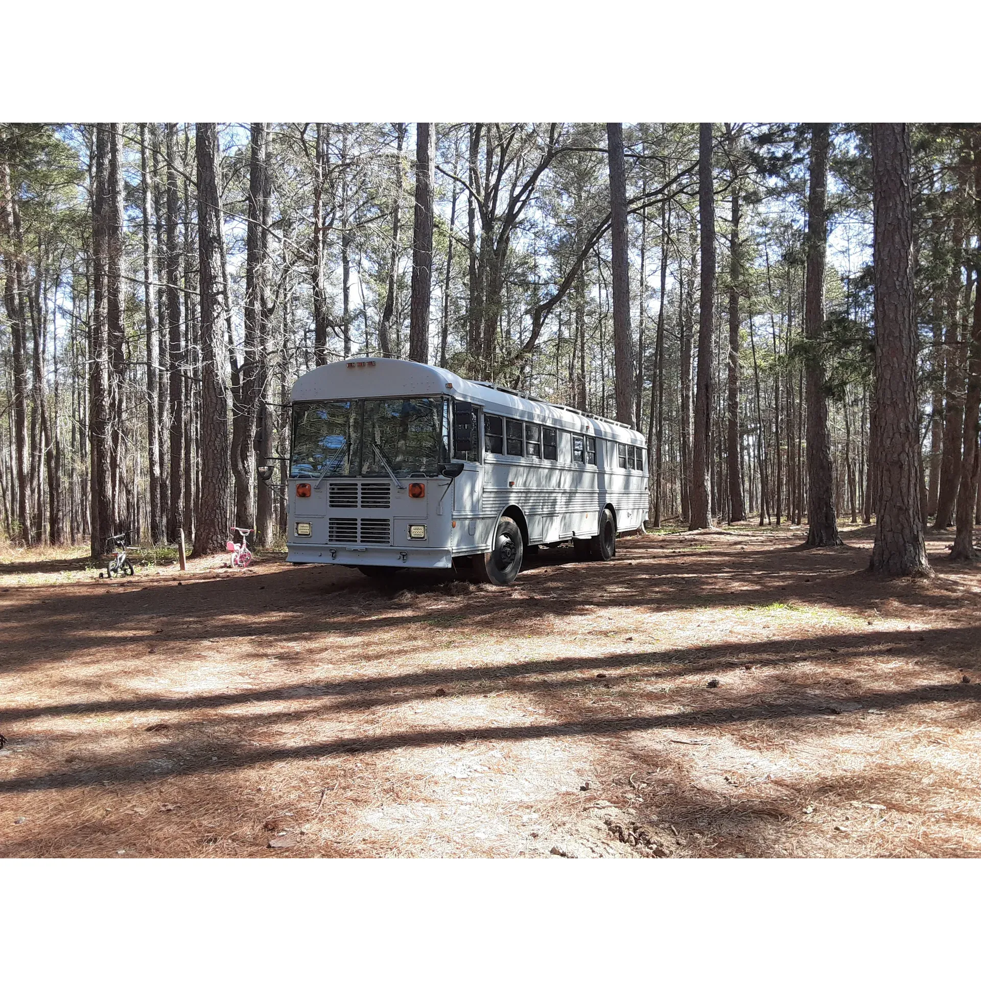 Fell Hunt Campground is a tranquil and picturesque destination for nature lovers and equine enthusiasts alike. The campground offers an array of amenities to ensure a comfortable stay for all its guests. With approximately 36 campsites available, the area ensures ample space for visitors to set up their own tranquil spot. The presence of convenient water spigots with spring water and vault-style toilets adds to the accessibility and ease of outdoor living.

For those seeking an affordable escape into the outdoors, Fell Hunt Campground presents a fantastic value with camping experiences at just $5 per day and an even more economical $3 for day use. Horseback riders, in particular, will find the campground to be a haven—boasting easy trailer parking, expansive grassy areas, and big shade trees catering to the comfort of their horses after a long trek through the well-marked and excellently maintained trails.

The campground isn't just for horseback riding—its serene atmosphere is highlighted by the quiet, shaded areas that appeal to anyone looking to unwind amidst nature. While the site is popular in the fall with hunters securing spots for the season, there is an off-season tranquility to be enjoyed as well.

The dedicated day parking area allows for short visits, providing the same access to water facilities and ensuring a spot to refresh after a day spent exploring the picturesque surroundings. The grassy day use areas and shared campfire ring foster a communal setting for campers to share stories and create memories.

Experience simplicity at Fell Hunt Campground, where the beauty of natural surroundings provides the perfect backdrop for a peaceful retreat in any season. Whether you're pitching a tent for a night or just passing through for a day of adventure, Fell Hunt Campground is a gem for outdoor aficionados in search of a low-cost, high-quality camping experience. Description by ChatGPT.