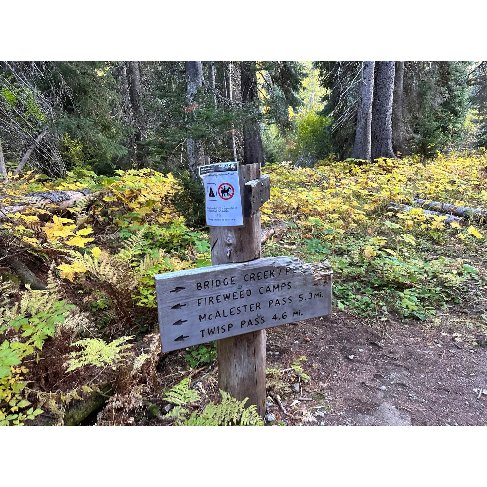 Fireweed Campground is a picturesque camping spot nestled in the lush forests of Washington state, USA. Situated near the beautiful Lake Wenatchee, this campground offers a serene setting for nature lovers and outdoor enthusiasts. The campground is equipped with picnic tables, fire rings, and vault toilets, providing basic amenities for campers.

Fireweed Campground is an ideal location for those looking to enjoy various recreational activities such as hiking, fishing, and wildlife viewing. The campground is also conveniently located near several popular attractions, including the charming town of Leavenworth, known for its Bavarian-style architecture and festive events throughout the year.

Visitors to Fireweed Campground can relax and unwind in the tranquil surroundings, surrounded by towering trees and the soothing sounds of nature. Whether you're looking for a peaceful retreat or an adventure-filled getaway, Fireweed Campground offers a memorable camping experience in the heart of Washington's stunning wilderness. Description by ChatGPT.