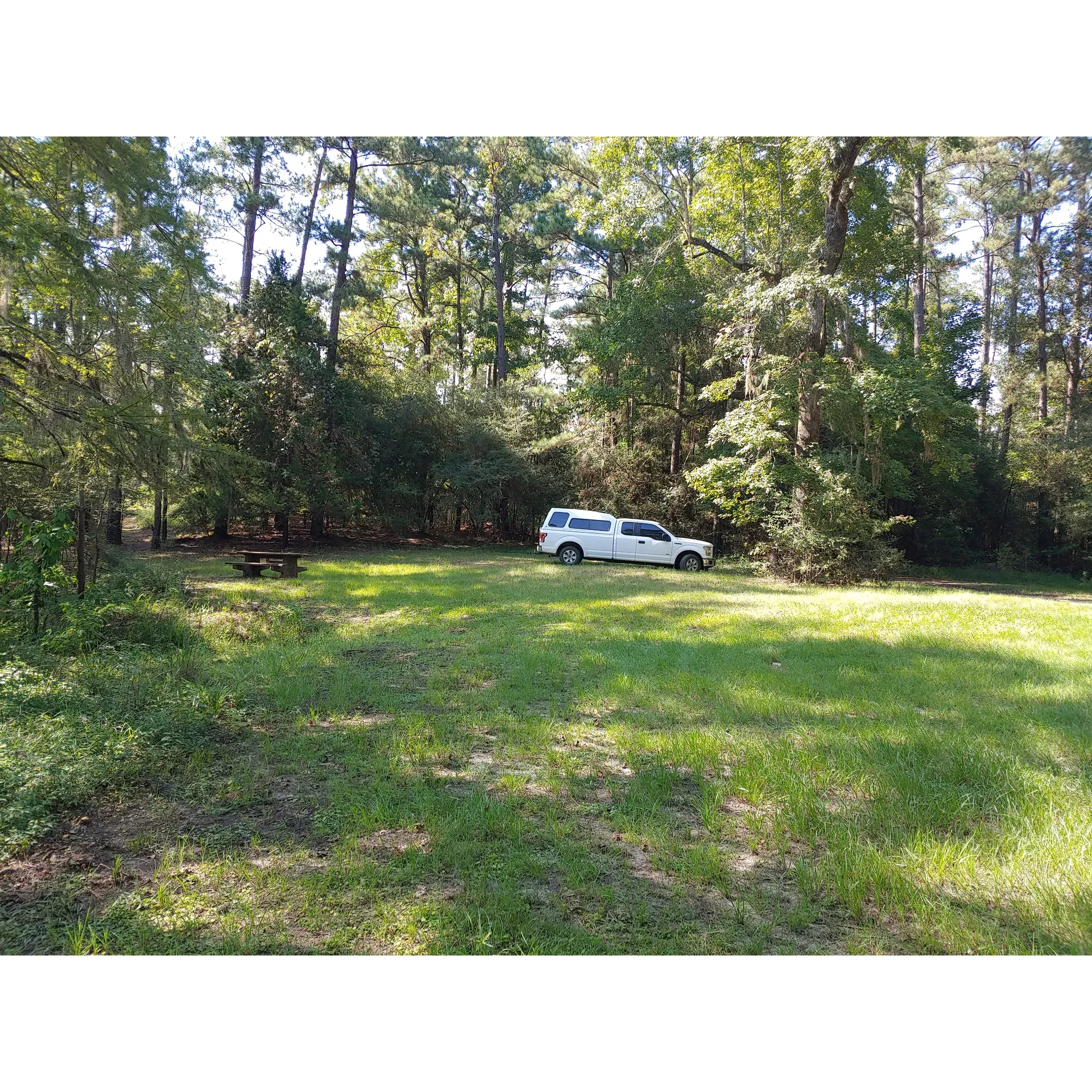 Bouton Lake Campground, located within the lush expanse of Angelina National Forest, provides campers with a serene, intimate retreat. With just four campsites, it offers an exclusive opportunity for those seeking solitude and a direct connection with nature. Ideal for those who enjoy boondocking, the campground emphasizes a rustic and authentic outdoor experience devoid of modern distractions, as there are no utility hookups or toilets on the premises. 

Each campsite is equipped with a fire ring and picnic table, allowing visitors to comfortably enjoy the simple pleasures of campfire cooking and outdoor dining amidst the tranquil surroundings. Guests have found this spot to be the ultimate destination for unwinding and breaking free from the hustle and bustle of city life, with the calm waters of the beautiful lake and the picturesque scenery proving to be a relaxing backdrop for any nature lover’s stay.

Visitors appreciate the remote ambiance and the sense of seclusion provided by the campground's location, making it a favored spot for quiet contemplation or a peaceful getaway. Despite its rustic nature, the beauty of the area and the allure of truly getting away are undisputed, with guests looking forward to returning to Bouton Lake Campground for another dose of relaxation and outdoor adventure. Description by ChatGPT.