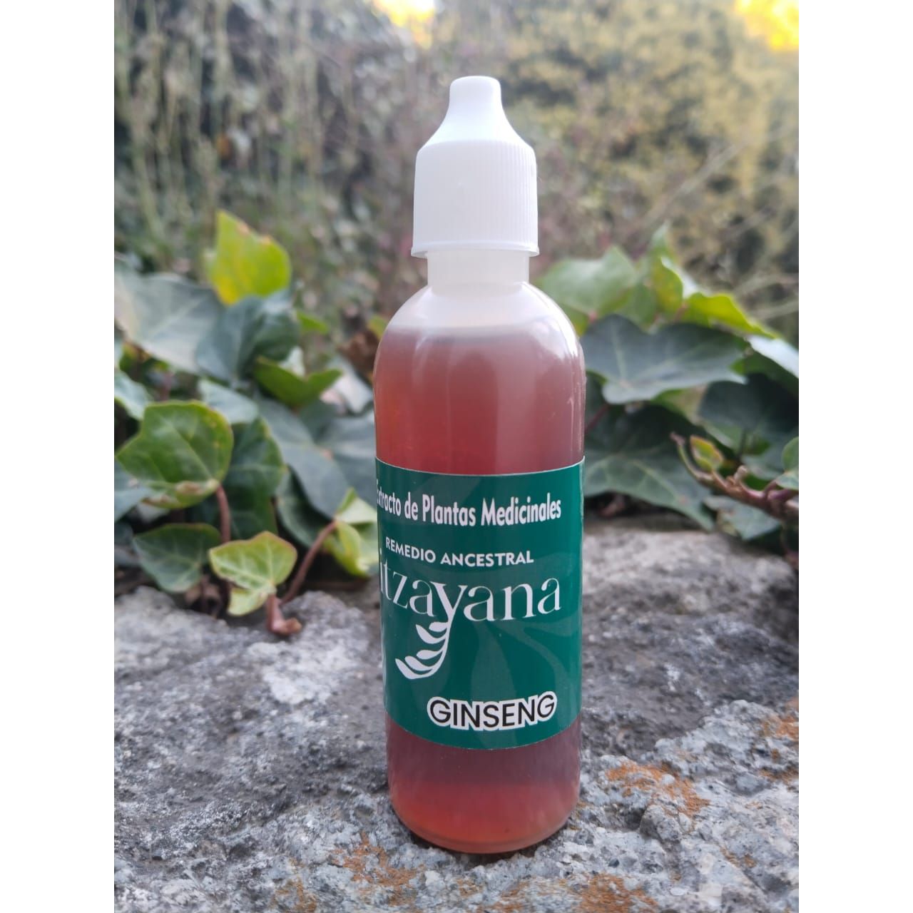 RED GINSENG TINCTURE is a natural elixir with a rich history, used for over 5,000 years in traditional Asian medicine. This plant is not only valued for its taste, but also for its multiple properties that can transform your health and well-being. Highlighted Benefits: Increased Energy: Ideal for those who suffer from constant fatigue.