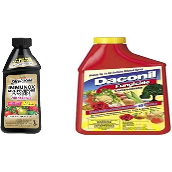 Spectracide Immunox Multi-Purpose Fungicide Spray Concentrate is a fungicide that effectively controls and prevents various fungal diseases on ornamental plants, shrubs, and trees. It contains myclobutanil as the active ingredient, which provides long-lasting protection against diseases like powdery mildew, black spot, rust, and more.