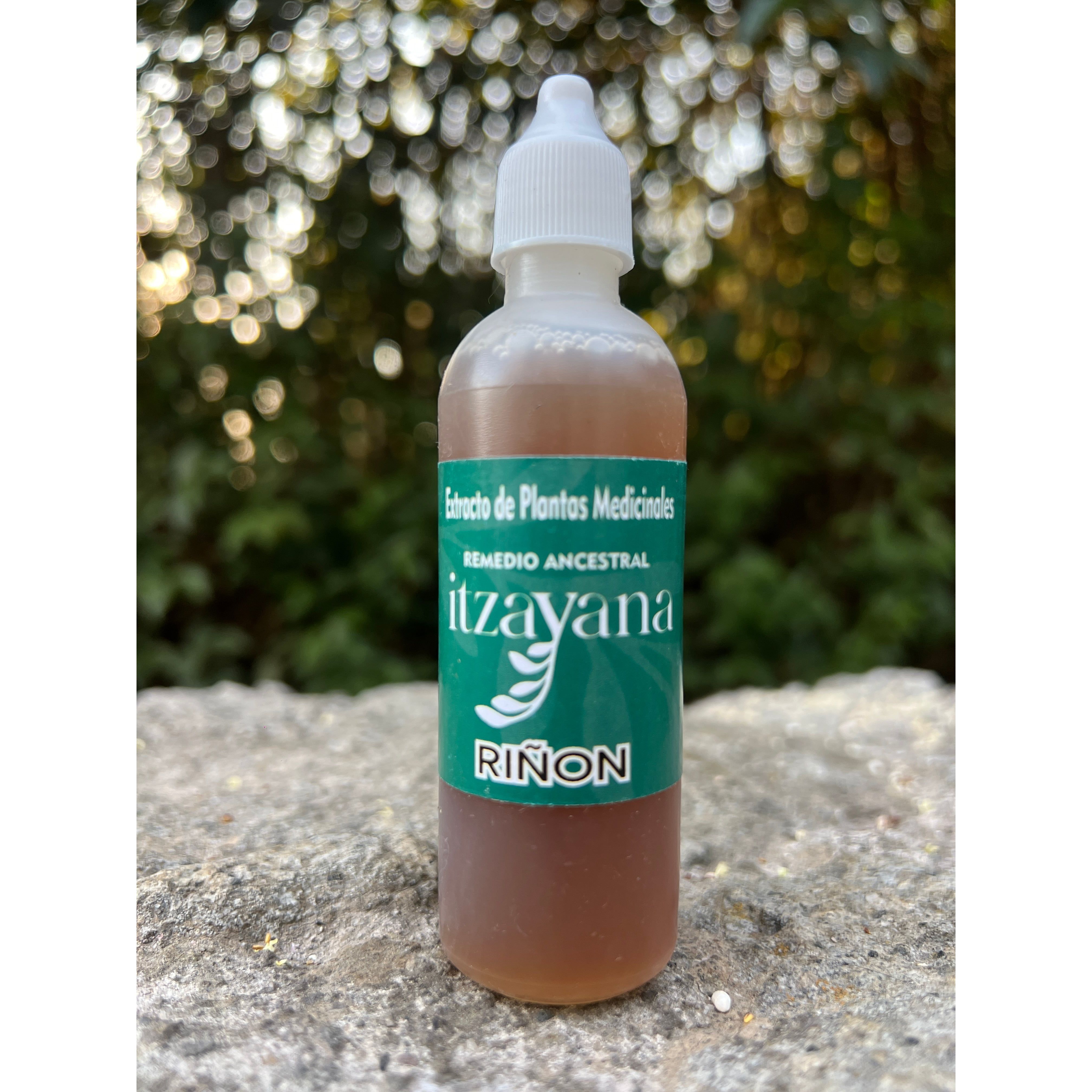 Discover the impressive benefits of Kidney Tincture, a natural supplement that combines the powerful effects of Bluewood, Grangel, and African Dairy 3-Rib Stick. This extract is designed for those who want to optimize kidney health and improve their well-being in a comprehensive way.Highlights: Guaranteed Kidney Health.