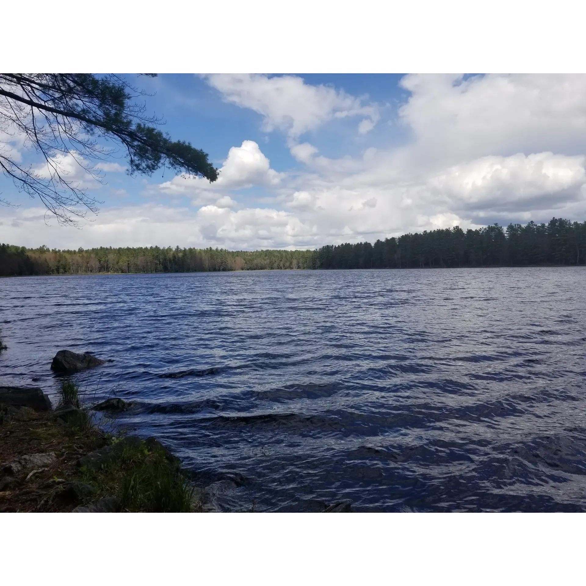 Imagine a serene escape where outdoor enthusiasts flock to indulge in various recreational activities amidst nature's bounty—welcome to Lake Dennison Recreation Area Day Use Entrance! This vibrant hub is a beloved destination ideal for hiking aficionados, fishing enthusiasts, camping hobbyists, and swimmers seeking a refreshing escape.

A highlight of the experience is the well-maintained facilities, including pristine bathrooms that cater to guest convenience. As visitors tread along the scenic trails, they're met with a rich tapestry of woodland surroundings and the tranquil sounds of nature, inviting an unparalleled sense of calm and relaxation.

The area is a paradise for anglers, boasting a lake abundantly stocked with an impressive variety of fish, from the energetic Large and Smallmouth Bass to the glistening Rainbow Brook and Brown Trout, not to forget the array of panfish delighting those with a rod in hand. Meanwhile, kayakers and canoeists find solace in the gentle waterways, navigating through pristine environments teeming with natural beauty.

Picnickers are treated to well-appointed grills and tables under the canopy of tall trees, perfect for family gatherings or a peaceful lunch in the great outdoors. Boaters appreciate the convenience of multiple launches, providing easy access to watery adventures.

Exploration is limitless, with miles of roads and trails extending through the landscape, some accommodating motorized vehicles, while many welcome the tread of hiking boots and bike wheels. Visitors are encouraged to bring a camera to capture their explorations and the park's picturesque allure. With lifeguard-supervised swimming areas and thoughtfully designed picnic zones, every visit promises relaxation and enjoyment in a beautifully maintained setting.

Reservations are accessible online, ensuring planning your visit is as breezy as the wind whispering through the trees. Whether you're seeking a peaceful solo journey, a romantic escape, or a lively family adventure, Lake Dennison Recreation Area Day Use Entrance is a treasure trove of outdoor bliss where cherished memories are waiting to be made. Description by ChatGPT.