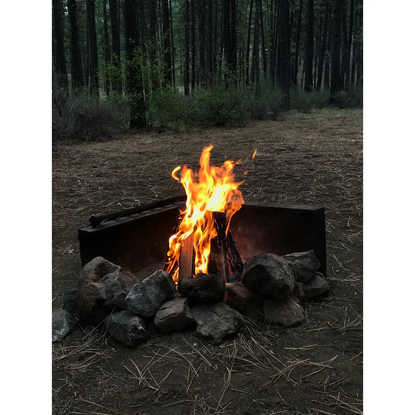 Framed by the serene beauty of a lush forest landscape, Smiling River Campgrounds presents itself as an idyllic outdoor retreat for nature enthusiasts and adventure-seekers alike. This picturesque campground features spaciously laid out sites, providing ample room for your camping experience, whether you're pitching tents or rolling in with a camp trailer. Visitors can relish the tranquility of their private outdoor space with the added convenience of well-maintained restroom facilities and accessible water sources.

An angler's delight, the grounds are situated along a clear, inviting river, renowned for its fly fishing opportunities. Embrace the gentle sounds of flowing water and the soft rustle of trees as you cast your line in pursuit of the day's catch. While the camp is indeed a popular destination, leading to a bustling environment at times, the diligent and beloved Camp Host ensures a seamless integration of foot traffic from hikers exploring the riverside trail.

Enthusiasts of tent camping will especially appreciate the generously sized spots that cater to their specific needs, complete with pull-through parking for easy access. The visually captivating campsites are often graced with views of the Metolius River, allowing guests to become fully immersed in the natural splendor surrounding them.

Integral to the campground's charm is the extraordinary hospitality provided by the on-site Camp Host, Nancy, whose dedication and friendly demeanor elevate the camping experience. Nancy's commitment to cleanliness and ensuring the well-being of guests is palpable, as evidenced by pristine conditions throughout the grounds and facilities.

The presence of vault toilets adds a touch of comfort to the rustic setting, ensuring that while you're basking in the great outdoors, all essential needs are catered to with convenience in mind. Suffused with an aura of warmth and community, Smiling River Campgrounds beckons you back time and time again to create cherished memories amidst the breathtaking backdrop of forest and river. Description by ChatGPT.