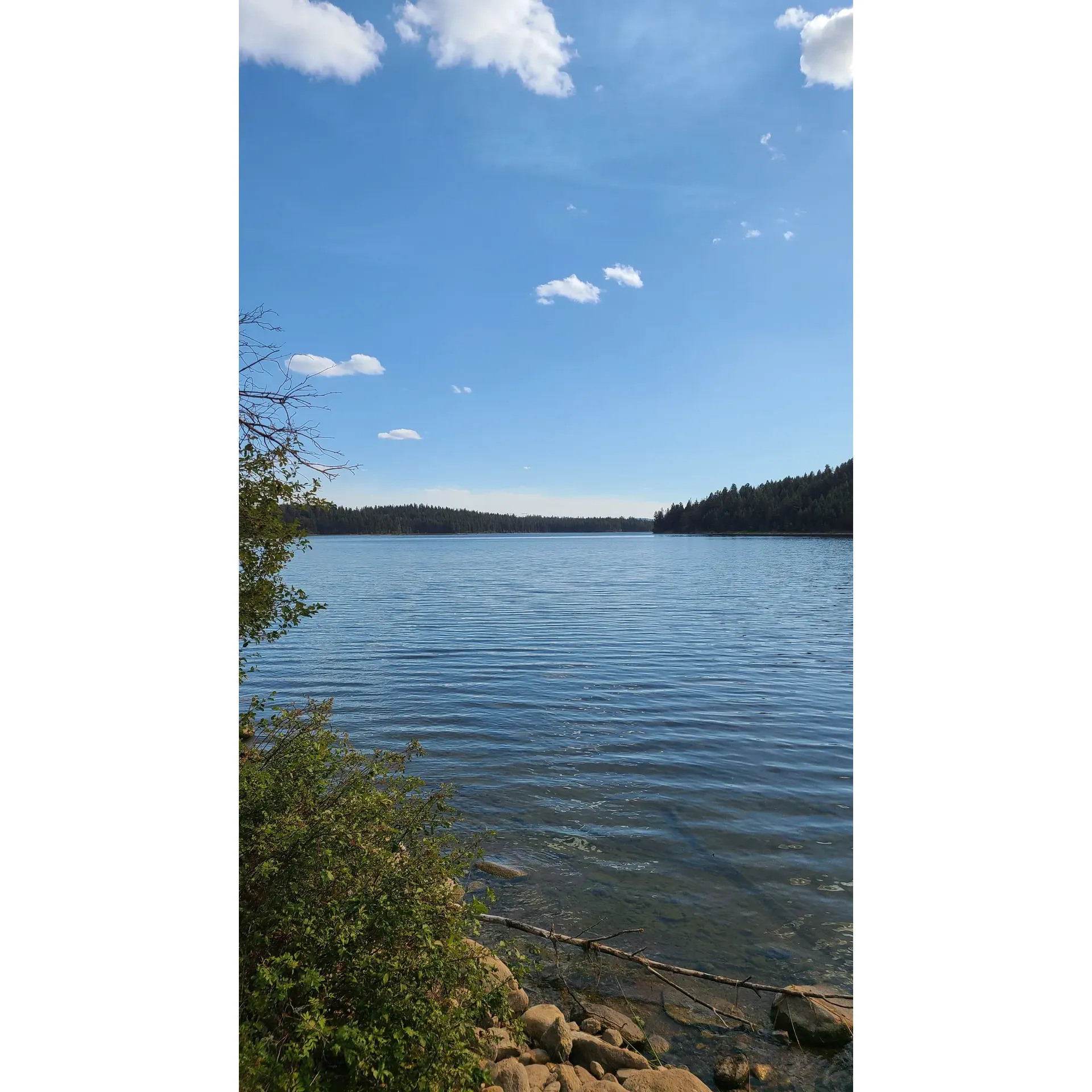 Roche Lake Camping Area is a serene sanctuary for outdoor enthusiasts and a jewel waiting to be discovered by those seeking a tranquil escape into nature. Visitors are immediately struck by the spacious campsites that offer an up-close experience with the stunning landscape, providing a sense of solitude and freedom amidst the great outdoors. The pristine lake is a focal point for guests, where anglakeres can cast their lines into the waters teeming with robust, energetic fish, offering an angler's paradise and a visual delight with the frequent sight of fish leaping from the water.

Arriving early in the week affords guests the luxury of selection, ensuring that they can secure a picturesque spot from which to enjoy the vast, beautiful vistas. The charm of the area is amplified by the abundance of wildlife, offering campers the chance to coexist with nature and observe local flora and fauna in their natural habitat—a truly authentic wilderness experience.

For those who value the simple pleasures of life, Roche Lake Camping Area is more than just a retreat—it's a return to the essentials of outdoor living. The ease of access, even at a leisurely pace along West Camp Road, is part of the charm that invites guests to slow down and soak in the beauty of the surroundings.

Whether visitors come for the fishing, the fresh air, or the spaciousness of the surroundings, the Roche Lake Camping Area promises a picturesque backdrop for making lasting memories amidst the splendor of British Columbia's great outdoors. Description by ChatGPT.