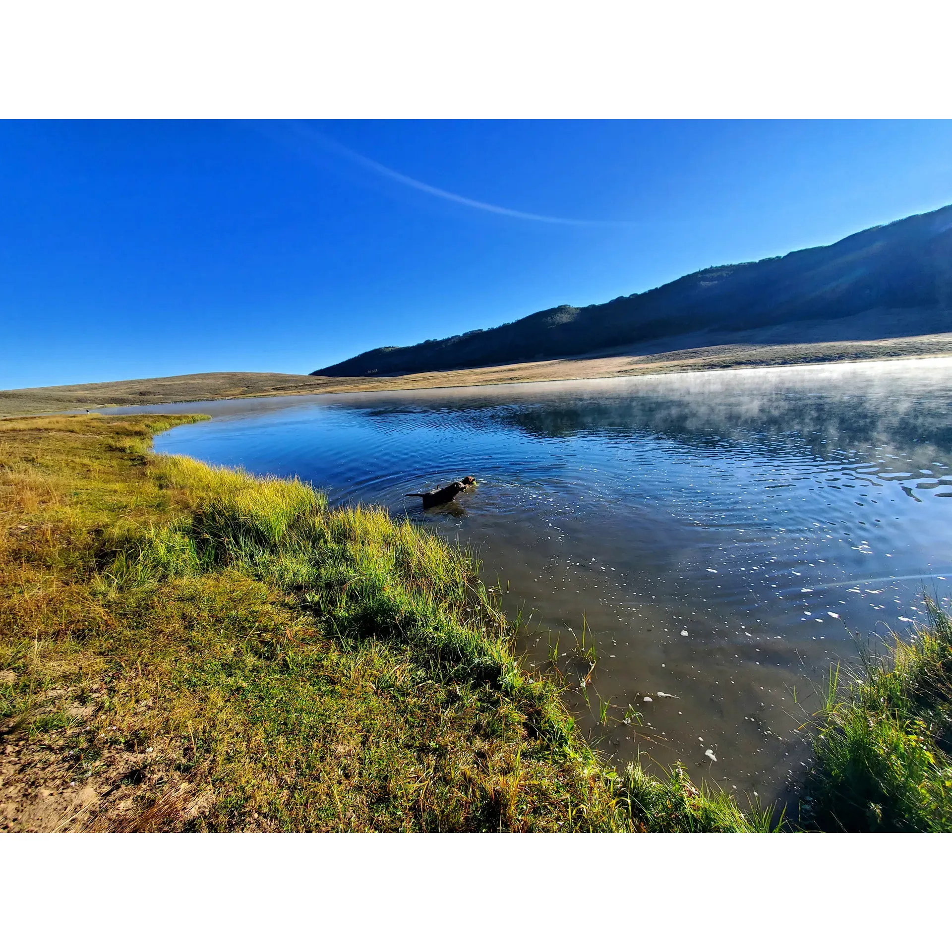 Gooseberry Reservoir Campground is a picturesque outdoor escape ideal for campers and anglers alike. Visitors rave about the stunning transformation of foliage during the cusp of autumn when the countryside bursts with vibrant colors. The reservoir itself is a pristine, serene backdrop that enhances the camping experience. Anglers find themselves in paradise with the excellent fishing opportunities, boasting bountiful catches that make for both exciting stories and delightful meals.

The spacious campsites are a luxury, offering ample room for setting up camp and privacy from neighbors, allowing guests to fully immerize themselves in the tranquility of their surroundings. While some sites are more open, bringing a form of cover ensures all-day comfort regardless of the position of the sun.

With the lake accessible right from your RV door, mornings begin with the peaceful lapping of the water's edge, and days are spent enjoying the leisurely activity of fishing or simply absorbing the calm atmosphere. This idyllic destination is perfect for those looking to disconnect and immerse in nature's beauty. Whether you're seeking a peaceful retreat or an exciting fishing expedition, Gooseberry Reservoir Campground provides a memorable experience that keeps visitors returning year after year. Description by ChatGPT.