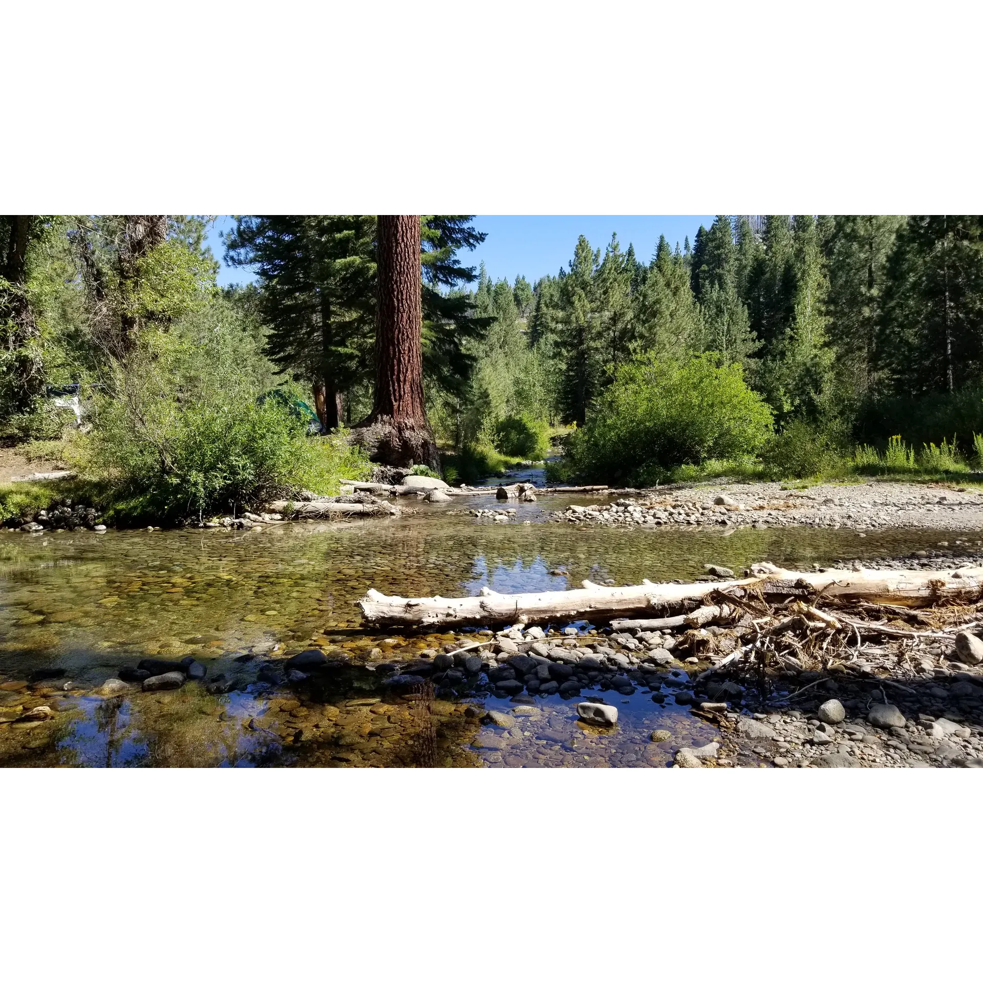 Big Sandy Campground offers an exceptional camping experience for those seeking tranquility and a touch of adventure just outside the majestic Yosemite National Park. This picturesque campground boasts an alluring creek that gently meanders through the lush landscape, creating a serene environment where visitors can unwind and connect with nature.

Beyond its scenic beauty, Big Sandy Campground is praised for its superb facilities, including well-maintained bathrooms that add comfort to the rustic outdoor experience. Campers are enamored with the area's hidden treasures, such as a nearby breathtaking waterfall that is just a short journey from the campground, providing an ideal backdrop for exploration and relaxation.

Visitors commend Big Sandy as a premier camping site, often describing it as a "hidden gem" for its remarkable setting and peaceful atmosphere. The campground's spacious sites allow for a senseable communion with nature, while the quiet surroundings ensure a restorative retreat for those looking to escape the hustle and bustle of daily life.

While the journey to Big Sandy Campground adds an element of adventure due to the rugged dirt access road, the destination rewards those who seek its secluded charm. It's a splendid choice for seasoned campers and nature enthusiasts who appreciate a private and extraordinary camping experience in proximity to one of America's greatest natural wonders, Yosemite National Park. Description by ChatGPT.