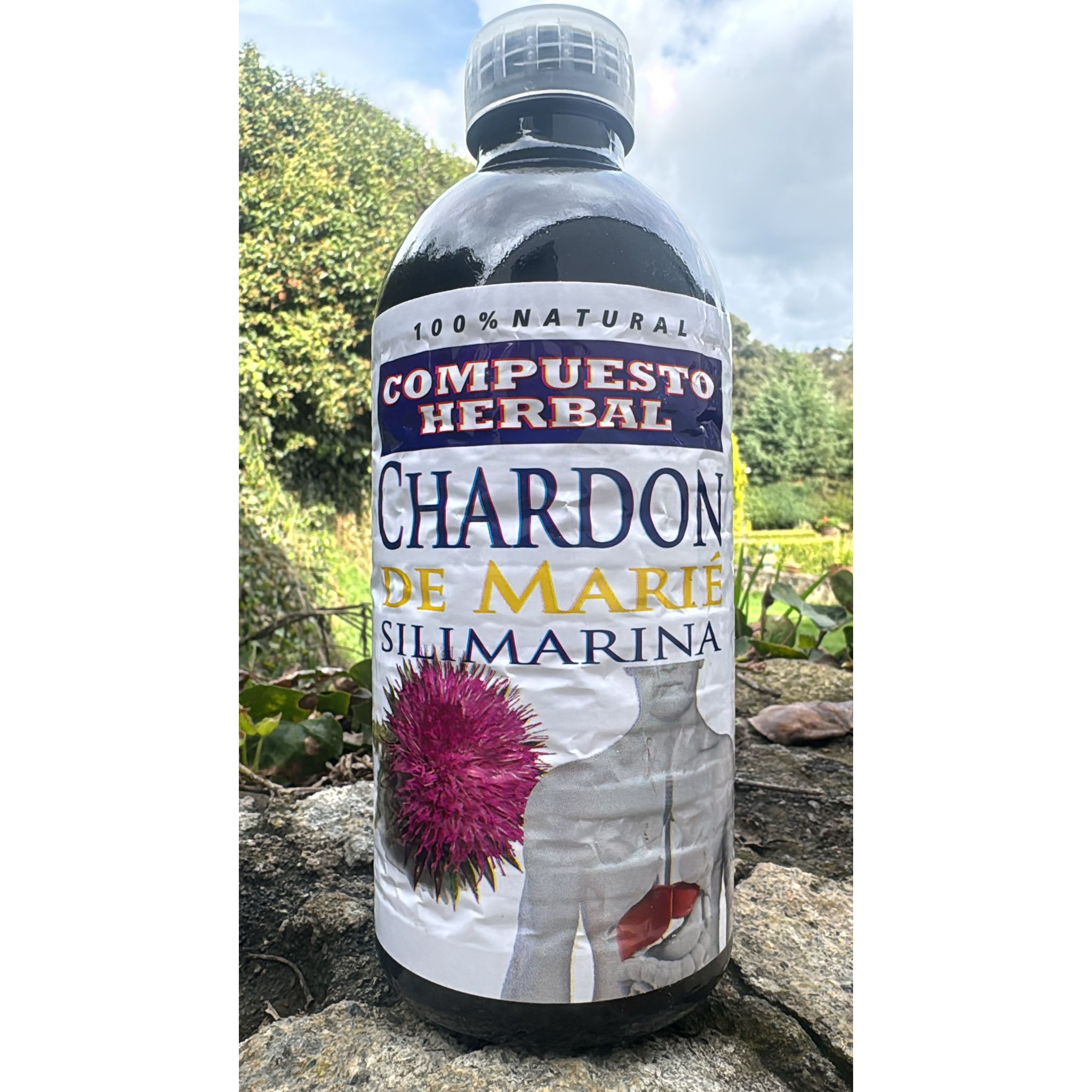 Do you want to protect your liver and balance your body naturally? Chardon de Marie is the ideal dietary supplement for you. With purifying and antioxidant properties, this product is your best ally to maintain a healthy and energetic lifestyle.