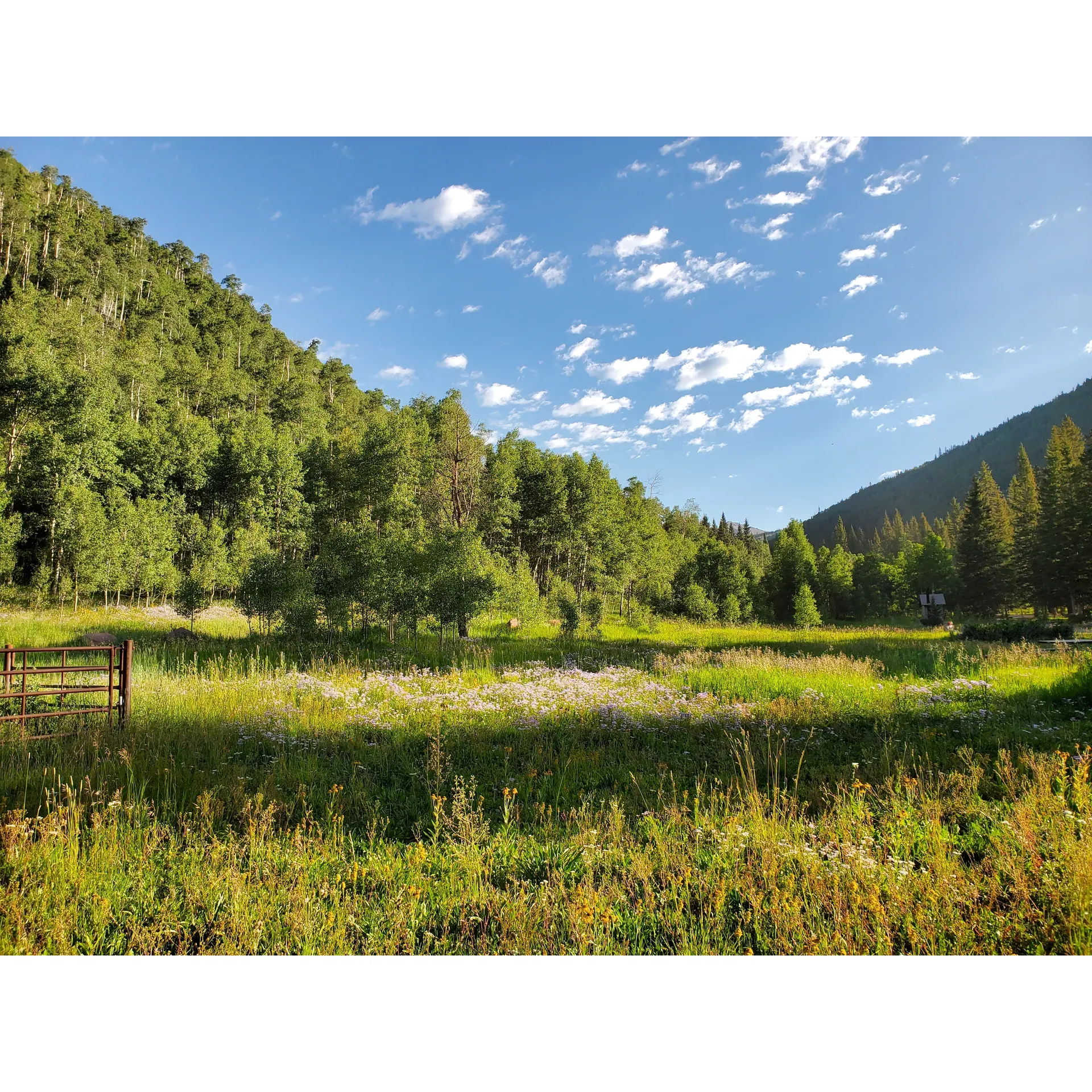 Discover an oasis of calm at Burro Bridge Campground, where the tranquility of nature combines with the ultimate in camping convenience. Here, campers can delight in impeccably maintained sites and facilities, ensuring a comfortable outdoor experience. This serene campground is perched peacefully above the Dolores River, providing a picturesque retreat without the nuisance of bugs.

Take delight in the blending of rustic charm and modern amenities such as spotless bathrooms and convenient running water, all contributing to a seamless stay in the great outdoors. The ample shade provides a cool respite from the sun, perfect for relaxing after exploring the nearby trailheads—just 1.5 miles from the Navajo Lake Trailhead and approximately 3.0 miles from the Kilpacker Trailhead, making it an ideal basecamp for hikers and nature enthusiasts.

The crowning jewel of Burro Bridge Campground is undoubtedly the super kind and always helpful campground host, known for providing a warm welcome and local insights that enhance the camping experience. Affectionately known as "Pickett" to guests, the host offers a friendly face and a wealth of information to ensure every stay is memorable.

With approximately 14 sites available, this understated retreat is perfect for those seeking a peaceful and less crowded environment. The setting is an absolute treasure, offering a sense of seclusion and quietude that is hard to find. Even with its secluded feel, Burro Bridge Campground provides the convenience of vault restrooms and a water tap without hookups, ensuring comfort amidst the beauty of the natural surroundings.

Whether you're venturing through the back country or seeking a pristine spot near Telluride, Burro Bridge Campground emerges as a beautiful getaway with all the essentials for a superb camping experience. For a reasonable nightly fee, guests can indulge in the simplicity of nature without sacrificing cleanliness and hospitality. It's a cherished stop for those in the know, providing a peaceful night's rest and an authentic connection with the great Colorado outdoors. Description by ChatGPT.