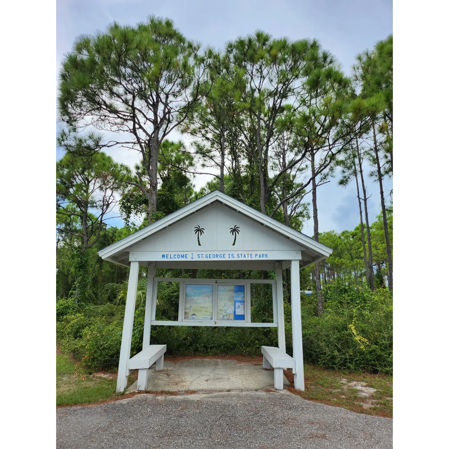 Saint George Island State Campground is a picturesque outdoor retreat offering visitors a harmonious blend of natural beauty and outdoor recreation. With its stunning white sand beaches extending as far as the eye can see, this campground is an idyllic setting for beach lovers and nature enthusiasts alike. Frequented by long-term RV campers, the campground provides well-appointed sites with convenient access to the shore's gentle waves and sun-soaked expanses.

Visitors can enjoy an array of beach access points for ease of exploration along the coast. Though the beaches at the campground prioritize the natural ecosystem and do not permit dogs, pet owners can find solace a few miles down the road at public beaches that graciously welcome four-legged companions.

The lush surroundings extend beyond the beach with inviting nature trails that meander through the park's tranquil landscapes. The trails offer an immersive experience into the area's diverse flora and fauna, providing a serene escape and the chance to encounter local wildlife.

Facilities are meticulously maintained, including clean bathhouses that contribute to a comfortable stay. The campground's design emphasizes spaciousness and thoughtful layout, ensuring ample room for guests to savor their environment without feeling crowded. At night, the area transforms into a peaceful haven with dark skies perfect for stargazing and listening to the symphony of crickets.

Saint George Island State Campground is celebrated as a hidden gem, a tranquil getaway where families can disconnect from the digital world and reconnect with nature. It stands out as a premier choice for travelers seeking a beachfront camping experience that promises relaxation, beauty, and a sense of adventure. With its stunning vistas and welcoming atmosphere, this campground is a cherished destination for creating lasting memories. Description by ChatGPT.