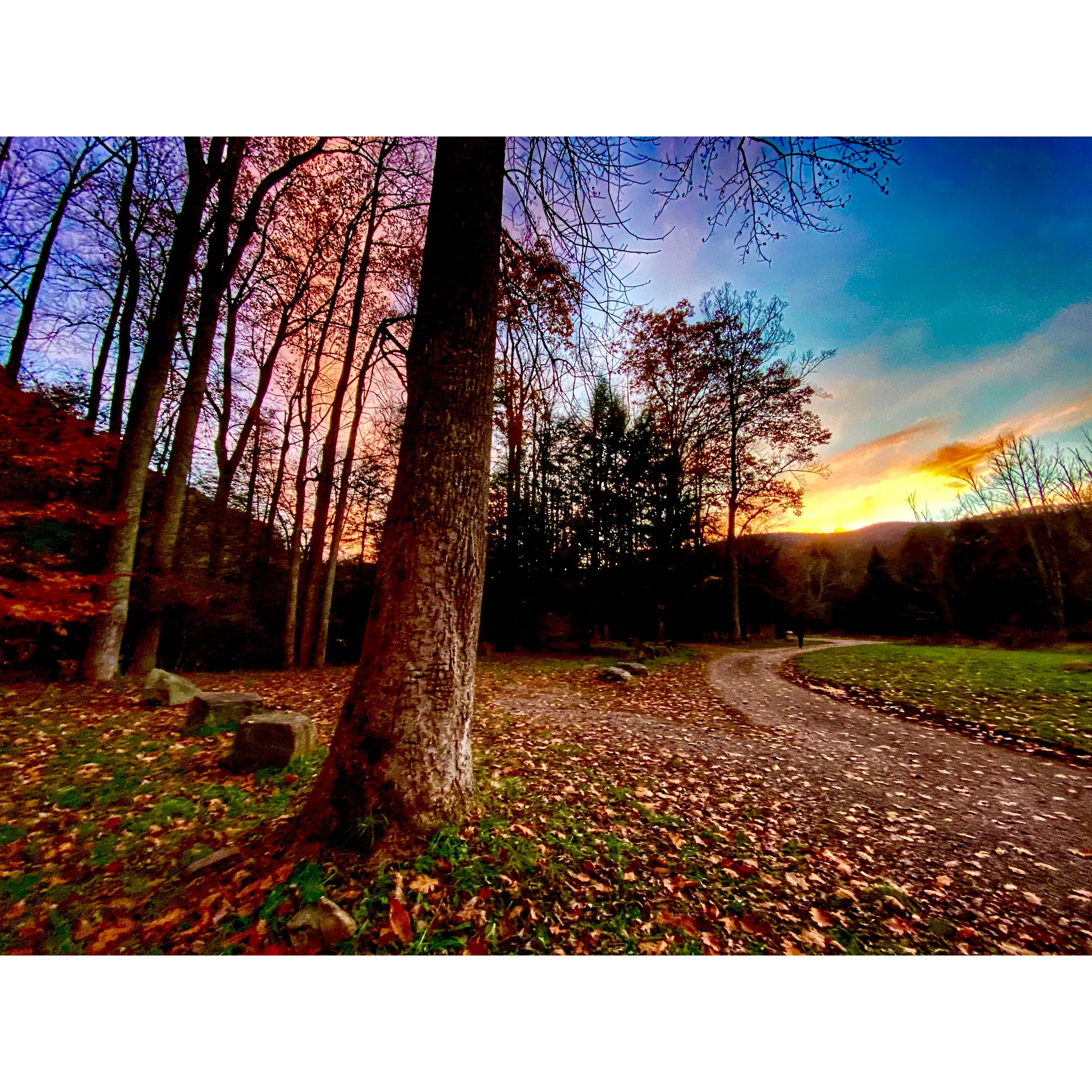 Discover the serene beauty of the great outdoors at Lower Glady Dispersed Campground, a much-loved destination for those seeking a peaceful escape. With its idyllic location along the Cheat River and expansive West Virginia wilderness, this campground is a gem for anglers, nature lovers, and families alike.

Boasting an array of well-established campsites, visitors can effortlessly pull in and settle down without the need for reservations or fees. The campground provides a vault toilet facility, ensuring basic comforts while maintaining the wilderness experience. Guests are encouraged to come prepared, as this rustic retreat offers a true off-the-grid adventure, free from the distractions of cell service and modern amenities. 

The allure of the campground is amplified by the tranquil sounds and views of the river, accessible from most camping spots, which create an ambiance of pure relaxation. Bring your gear for a memorable fishing experience, with the river teeming with healthy populations of trout and other fish. 

Conservation is integral here, with a strong "Leave No Trace" policy in place. Visitors are reminded to keep the Monongahela Forest pristine by packing out all trash and respecting the natural surroundings.

Regular campers, some with a tradition spanning over two decades, cherish the opportunity to reconnect with nature and loved ones in this incredible setting. The surrounding areas offer a network of trails perfect for hiking and exploration. While amenities like picnic tables are not provided, campers often find ingenuity and camaraderie by bringing their games and equipment to create their unique camping experience.

Come in the fall to witness a breathtaking palette of changing leaves, coupled with cool nights that call for heartwarming campfires under the star-filled sky. Embrace the simplicity and raw beauty of camping at Lower Glady Dispersed Campground, where you can find solace, adventure, and a chance to create lasting memories with friends and family amid the splendor of West Virginia's wilderness. 🍁🌲☀️🌊 Description by ChatGPT.