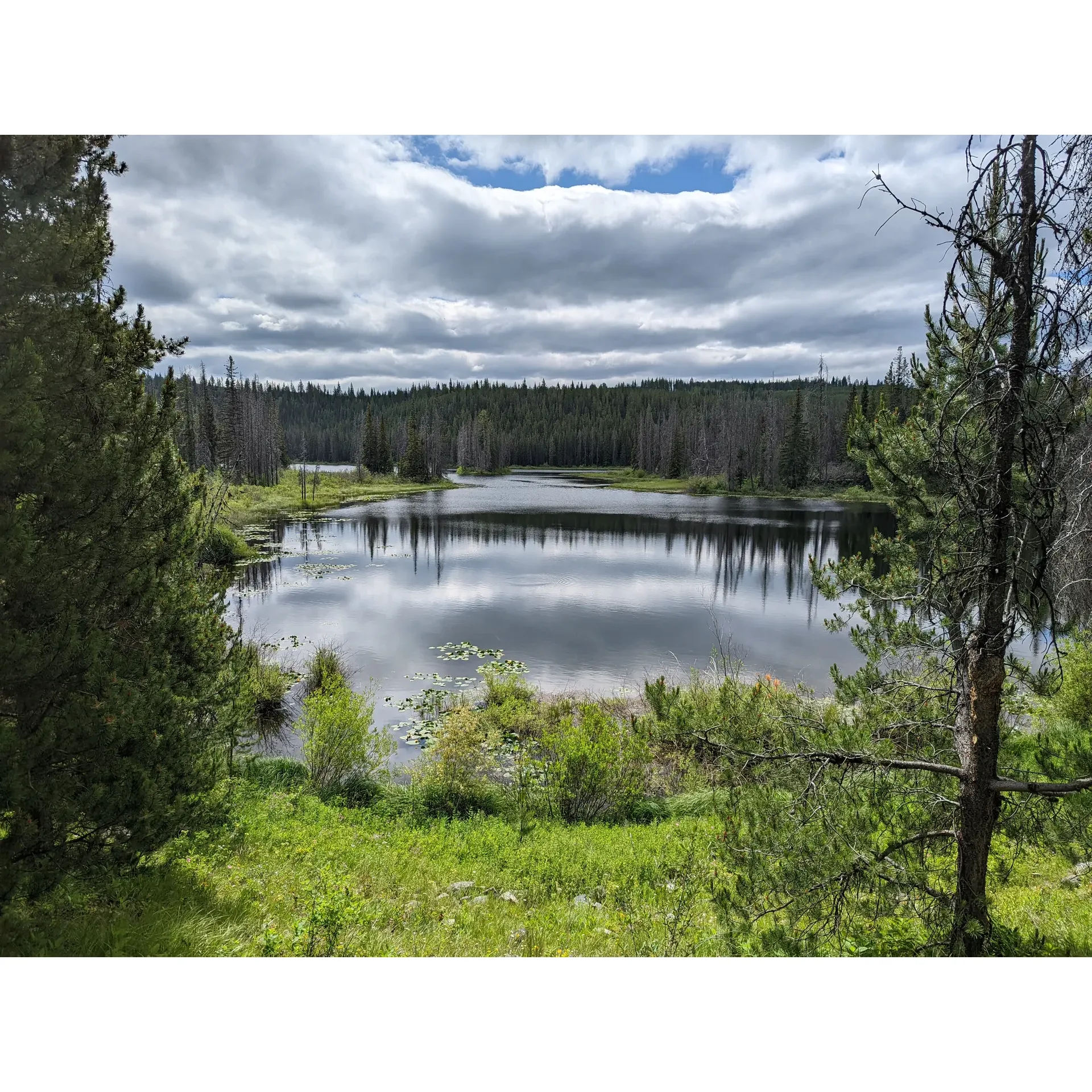 Buck Lake Recreation Site in Merritt offers travelers a delightful camping experience with its charming campground surrounded by natural beauty and recreational opportunities. The campsite presents a variety of options to suit different group sizes, from cozy sites ideal for smaller parties to larger spots that can accommodate family gatherings, and even a substantial space across the road for those who require extra room.

Boasting convenience for campers, the recreation site is equipped with two public toilets, ensuring the essential comforts are close at hand. While the locale provides an off-the-grid retreat with no cell service, those seeking connectivity can find a Wifi Hotspot at the nearby Loon Lake rest area.

The serene Buck Lake is the site's centerpiece, located just past mile marker 7, and is a haven for fishing enthusiasts looking to reel in their next catch. Every campsite is furnished with picnic tables and fire pits, making it an ideal setting for tranquil lakeside dining and warm gatherings around the fire.

Campers have noted the tranquility and respectful atmosphere of the Buck Lake Recreation Site, making it a perfect spot for those seeking a peaceful outdoor escape. Besides fishing, visitors can enjoy other activities such as quad biking on the surrounding trails, immersing themselves in the area's natural splendor.

Despite a rugged approach, the journey to the campsite promises awe-inspiring vistas, rewarding travelers willing to navigate the unpaved road. Friendly reminders for visitors include keeping an eye out for local wildlife, adding a playful touch to the authentic wilderness encounter.

Overall, Buck Lake Recreation Site is a fantastic destination for camping and fishing enthusiasts or anyone looking to experience the great outdoors in a serene and friendly environment. Description by ChatGPT.