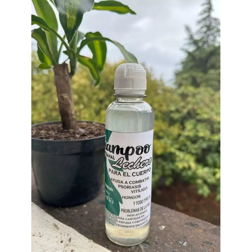 Experience the power of African Dairy and Saponin Shampoo, a unique formula that combines natural ingredients to offer an unparalleled cleansing and hair care experience. This shampoo is ideal for those looking to restore the health and shine of their hair effectively and naturally.