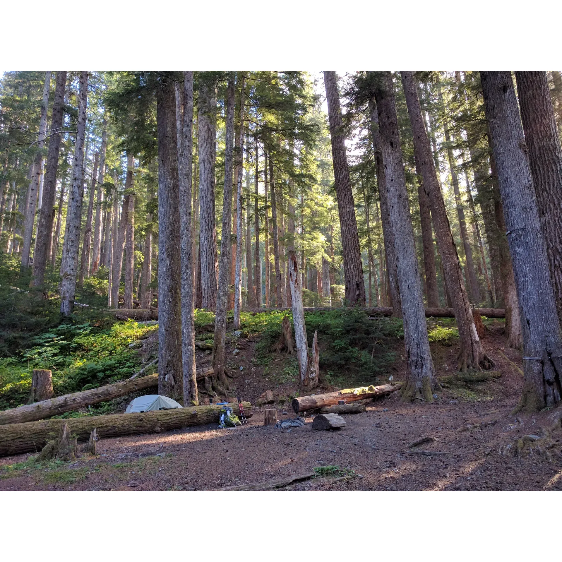 Located a scenic 17.8-mile trek from the trailhead, Upper Duckabush offers an immersive outdoor experience for adventurers and nature lovers alike. With its pristine waterways and lush surroundings, this site presents a wonderful opportunity for guests to create lasting memories amidst the beauty of unspoiled nature. The journey to the camp involves an exciting river ford or a traverse over downed logs, adding an element of adventure to the trip, typically accessible in the latter part of July when the water levels become favorable.

Guests have the opportunity to select from multiple campsites, each offering its own unique view and ambiance, allowing for a personalized connection with the environment. Whether you're looking to disconnect from the hustle and bustle of everyday life or seeking a playground for your next outdoor adventure, Upper Duckabush is a destination that thrives through the seasons and welcomes nature enthusiasts with open arms. Description by ChatGPT.