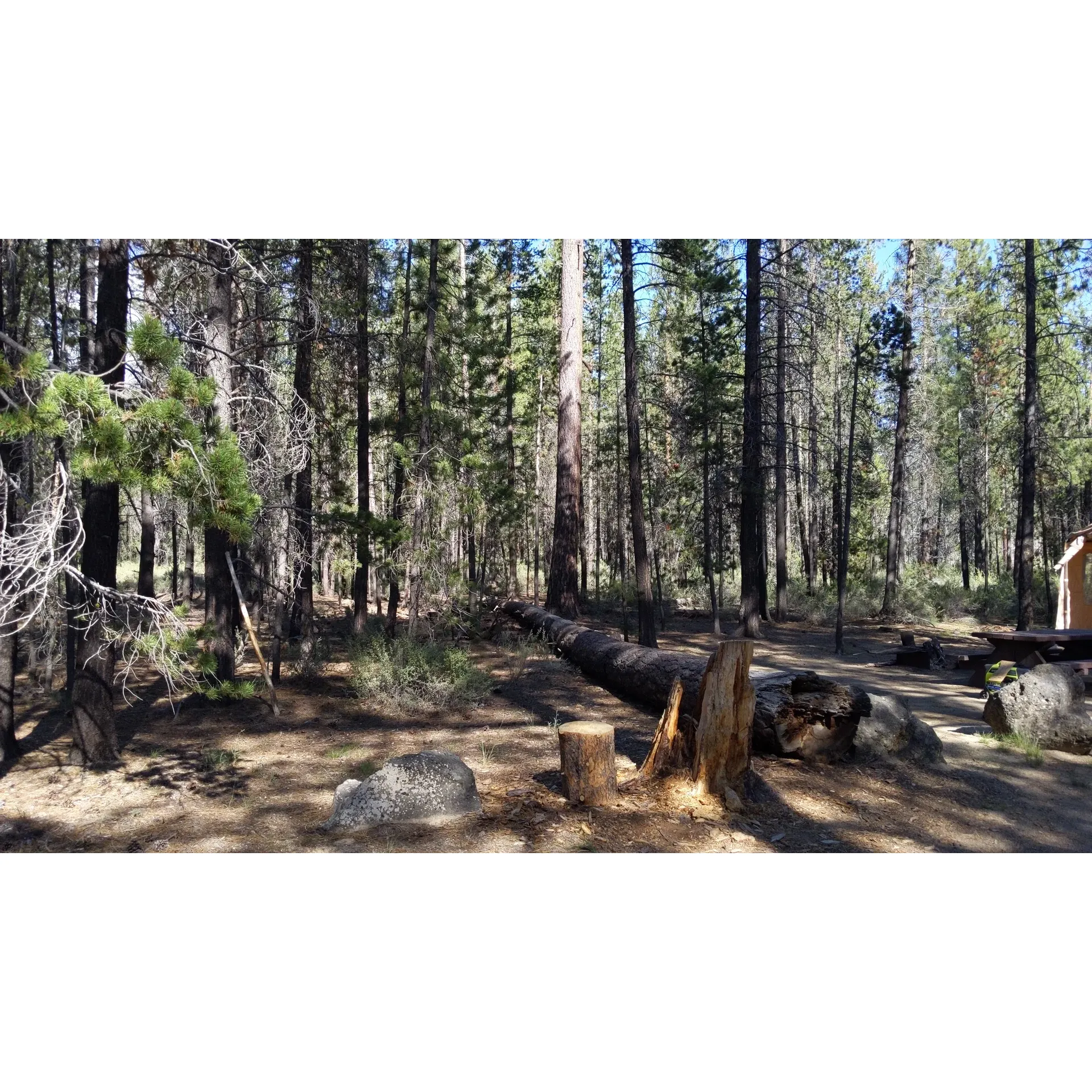 Prairie Campground offers an authentic outdoor experience for nature lovers and adventure seekers alike. With its convenient proximity to the stunning Crater Lake National Park and a variety of surrounding attractions, this campground provides an ideal base for explorers looking to immerse themselves in the beauty of the region.

Guests can enjoy the simplicity of the outdoors with standard amenities such as picnic tables and fire areas, perfect for cozy gatherings and grilled feasts under the open sky. Despite its popularity, Prairie Campground maintains a serene atmosphere, especially in the evenings when quiet descends and the stars begin to twinkle above.

For those who appreciate natural surroundings, a picturesque trail leads to a beautiful prairie adorned with its own babbling creek, providing not just a scenic retreat but also an alternative water source for those adventurous enough to venture forth.

Acknowledged for upholding safety and convenience, the campground ensures an ample supply of complimentary firewood, a benefit of their diligent maintenance and care for the environment. While the campground fees remain affordable, you'll find the value in the peace and beauty that envelops the area.

With select first-come, first-served sites available, Prairie Campgrounds is not just a destination but a welcoming community that offers a retreat from the bustle of life. Whether for a night or an extended stay, guests can find solace in the chirping crickets, the soft whisper of the stream, and the opportunity to connect with nature in a simple, undisturbed manner. Friendly camp hosts and decent cell reception are just cherries on top of a truly rustic camping experience. Description by ChatGPT.