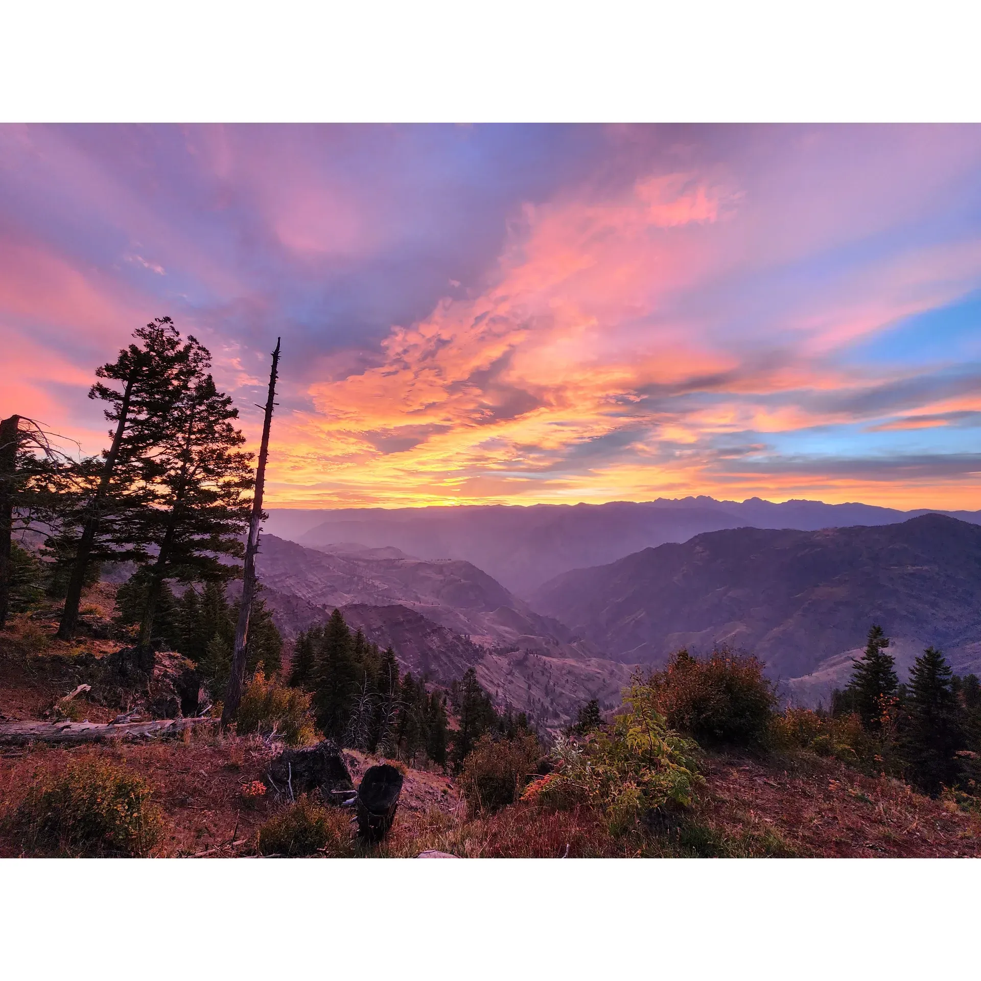 Saddle Creek Campground offers an idyllic escape for outdoor enthusiasts looking to immerse themselves in the tranquility of nature. Visitors frequently rave about witnessing the breathtaking sunrises that paint the sky in vibrant hues, setting the tone for a day of serenity and adventure. Each of the five well-maintained campsites provides a fantastic minimalist experience, offering all the essentials for an authentic camping experience without any excess frills, and all at an unbeatable value. 

The convenience of payment by cash or check adds to the uncomplicated charm of the location, which enjoys peaceful, less crowded conditions, especially on weekdays. Campsites come equipped with Forest Service toilets, fire rings for cozy evenings under the stars, and picnic tables, perfect for enjoying meals amidst the stunning surroundings.

Enveloped in a panorama of jaw-dropping vistas, Saddle Creek Campground treats visitors to majestic views from the cliff's edge overlooking a verdant valley. The area is embellished with a picturesque, small pond and an abundance of wildflowers that delight the senses and provide a perfect backdrop for nature photography and reflection.

For those lucky enough to visit after forestry maintenance, the campground has been known to offer complimentary firewood from recently felled trees, enhancing the camping experience. While the campground is adjacent to areas of forest rejuvenation, the regrowth contributes to the unique landscape and the circle of nature evident in the surroundings.

The campground's pristine condition extends to its facilities, with impeccably clean restrooms ensuring a comfortable stay for all guests. While the journey to Saddle Creek Campground is an adventure in itself, featuring steep and narrow roads, the reward is a secluded retreat that pays off with unparalleled views and a sense of having discovered a hidden gem.

Guests are advised to come prepared, bringing their own water and driving cautiously to maximize their safety and enjoyment. Though cell service can be limited in such secluded spots, some visitors may find a signal, allowing for a touch of modern convenience amidst the wild setting.

Those who do not wish to camp overnight have still found the setup to be admirable, highlighting the campground's ability to impress even day visitors. For nature lovers seeking a picturesque, serene, and well-facilitated camping experience, Saddle Creek Campground is certainly worth the drive and the visit. Description by ChatGPT.