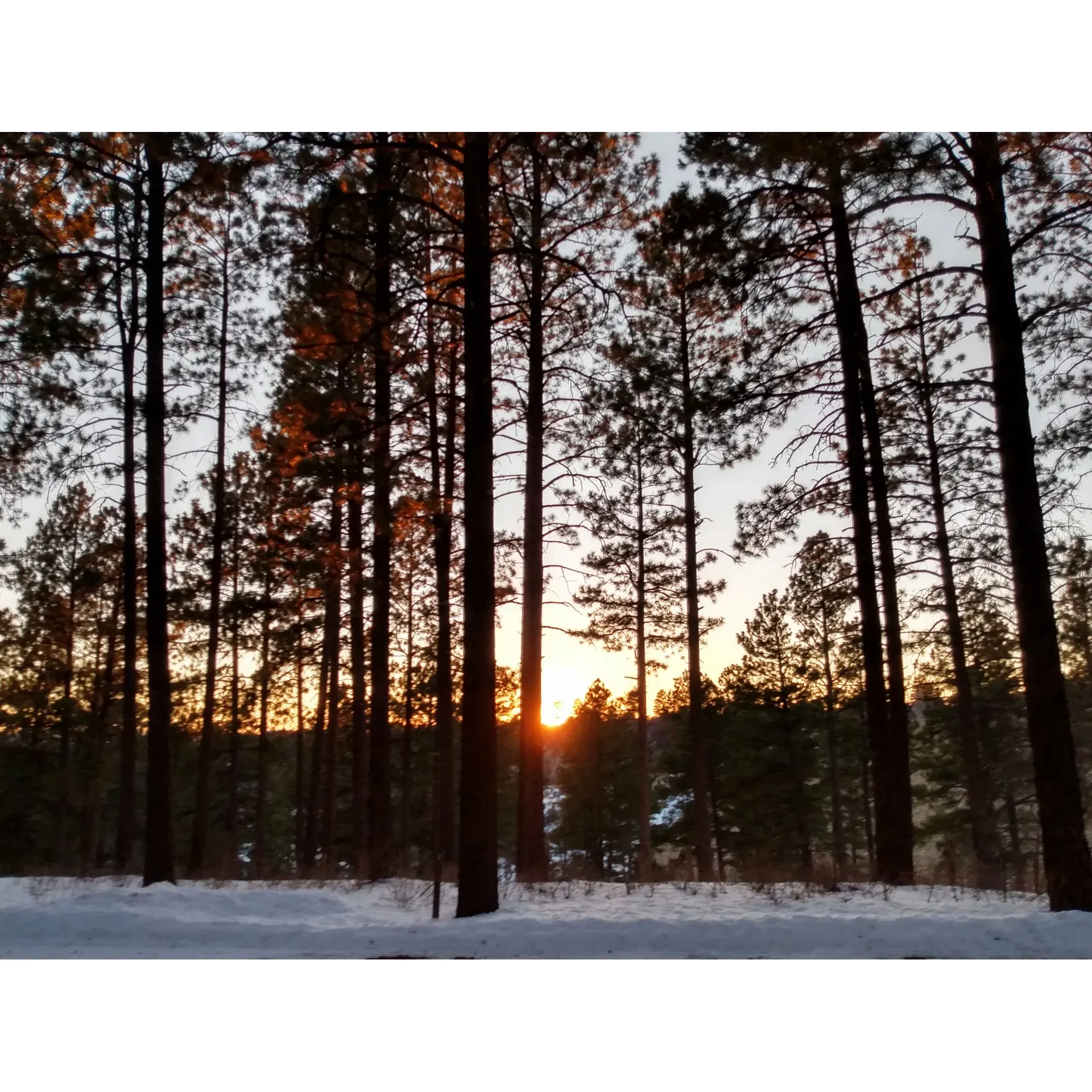 Main Campground offers an authentic escape into the great outdoors, providing guests with a unique opportunity to connect with nature without breaking the bank. Experience the thrill of waking to the symphony of local wildlife, as the stirring howls of coyotes complement the serene procession of deer through the lush campgrounds. Embrace the tranquility that permeates this picturesque setting, providing a peaceful retreat from the hustle and bustle of daily life. With affordable rates and a stunning backdrop, Main Campground is the ideal destination for nature enthusiasts looking to immerse themselves in a vibrant ecosystem and create lasting memories under the canopy of the wilderness. Description by ChatGPT.