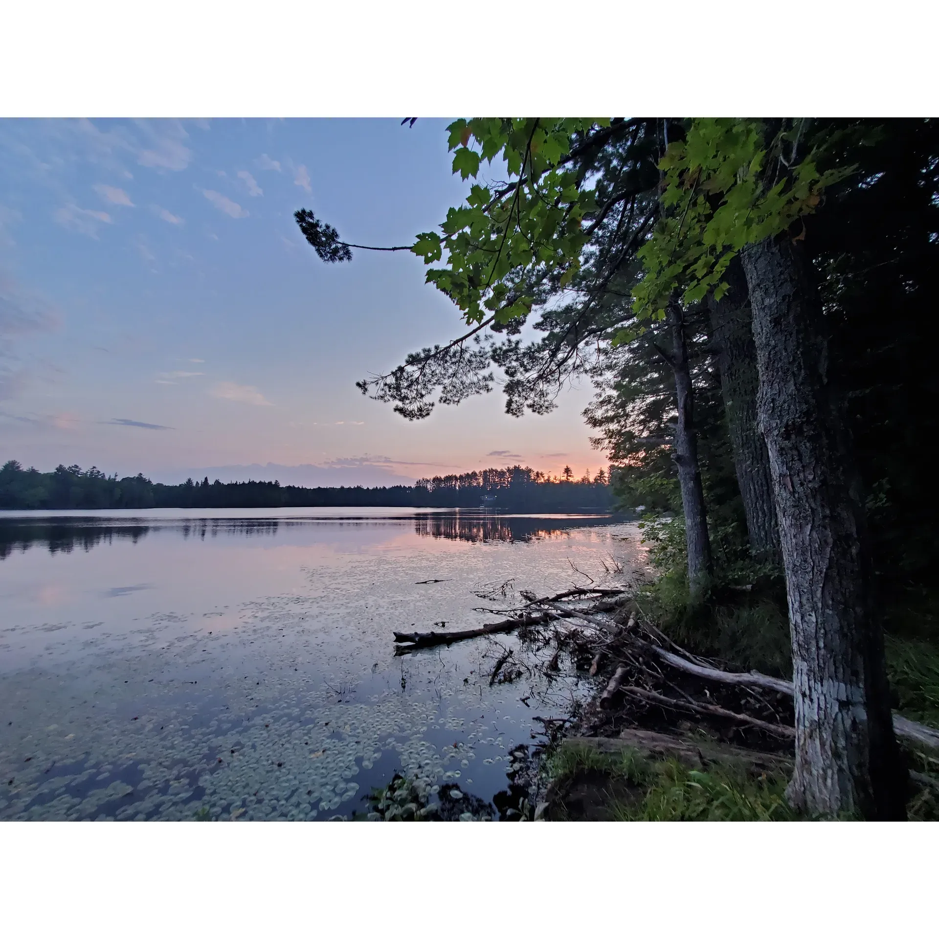 Emily Lake State Forest Campground offers a serene, woodland retreat for outdoor enthusiasts looking for a rustic, yet well-maintained camping experience. Immaculately clean facilities, including bathrooms with vault toilets, hand sanitizer, and ample supplies, cater to visitor comfort. The campsites are thoughtfully laid out, with select areas such as Sites 1+2 and 3+4 being perfect for group gatherings, offering ample space to unwind and socialize. For those seeking more seclusion, sites 6, 8, and 9 provide tranquil lake access, while site 7 is a haven for hammock enthusiasts, thanks to strategically positioned trees.

In the heart of the campground, a water pump and additional tables in the central area make it an ideal spot for larger gatherings or parties. Anglers will be pleased to find that the lake is rich with fish, including bass, perch, and rainbow trout, promising a rewarding fishing experience, heightened by the convenience of a well-designed boat ramp and spacious parking area.

The campground's setting creates an atmospheric backdrop for both day-time adventures and nocturnal skies, where stargazing reveals a celestial theater of planets, satellites, and shooting stars. Access to the lake, while primarily for boat launches, invites kayakers, canoeists, and those with small fishing vessels to explore the waters.

For visitors in the winter season, the campground offers a peaceful escape with plowed roads leading to the campsite, where the beauty of the snow-covered landscape awaits, providing an exquisite setting for snowshoeing adventures.

Just a stone's throw away, Krupps mini market is renowned for serving the best pasties, offering a delightful culinary treat to complement a day of outdoor activities. With careful upkeep and its beautiful natural surroundings, Emily Lake State Forest Campground presents an idylactic yet convenient wilderness getaway that caters to all who appreciate a pristine and engaging outdoor experience. Description by ChatGPT.