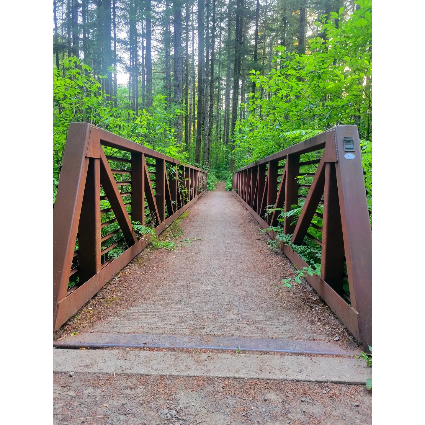 Discover a serene escape at Cold Creek Campground, where tranquility and natural beauty abound. This well-kept secret becomes a haven for those looking to disconnect from the hustle and bustle and reconnect with nature. Savor the peaceful ambiance, accentuated by the soft murmurs of Cold Creek and the rustling leaves of tall Douglas fir trees. The campground is a paradise for pet owners and their furry friends, offering ample space for dogs to explore and delight in new scents and sights. 

Ideal for both day trips and weekend outings, the campground features a collection of clean and spacious campsites, making it a perfect spot for family and friend gatherings. Convenience is at hand with a tidy restroom facility available for visitors. Immerse yourself in the enchanting scenery that becomes even more picturesque on a rainy day, and experience the allure of the lil' river that gracefully enhances the landscape.

While open from Thursday to Monday, the campground offers a day-use area with trails that beckon adventurers and leisure seekers alike. With no water spigots on-site, visitors are reminded to bring their own water to ensure a comfortable stay. The absence of a camp host heralds a more autonomous camping experience, which is framed by the gentle guidelines of mutual respect among campers for quiet hours.

This gem is managed by the Department of Natural Resources and is an exceptional value, requiring only a Discovery Pass for access. Available at locations where fishing licenses are sold, the pass is your ticket to this free, cherished retreat. Whether you're looking to unwind just outside the city or want a delightful spot to enjoy the splendors of camping without venturing too far, Cold Creek Campground is a choice location that invites a memorable experience in the great outdoors. Description by ChatGPT.