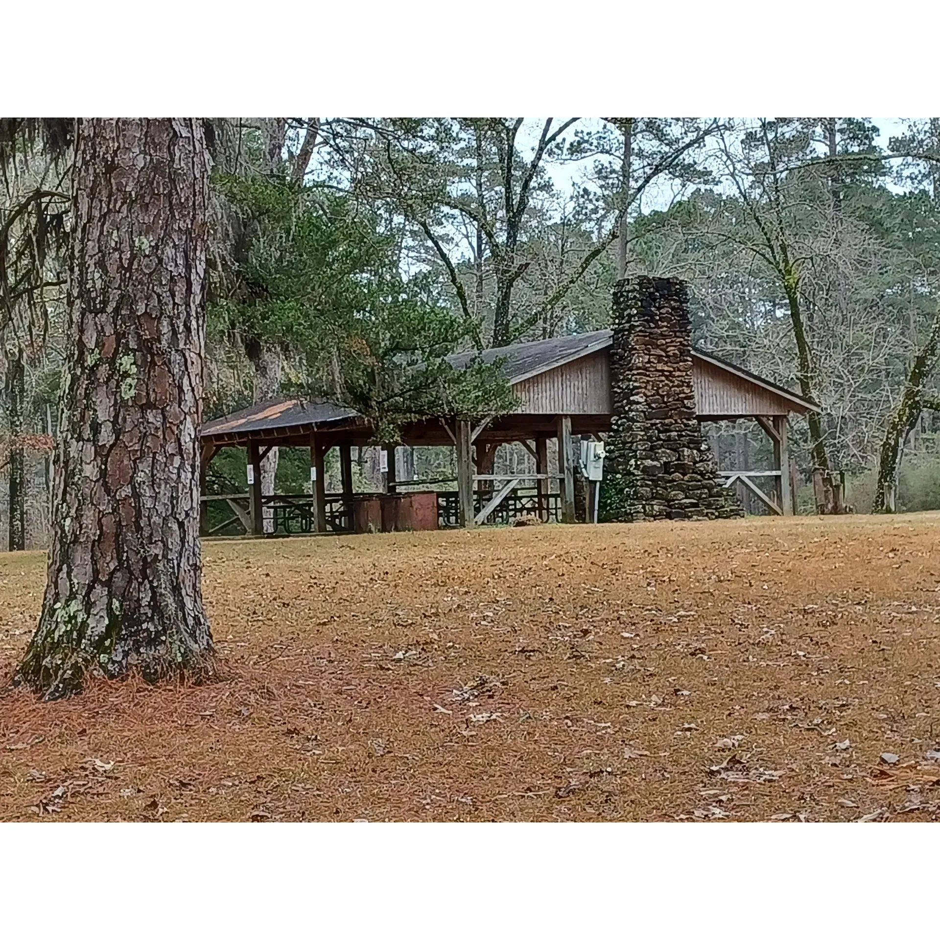 Boles Field Campground, set within the expansiveness of Sabine National Forest, offers an idyllic retreat for those yearning for a serene escape into nature. This attractive Forest Service campground provides well-spaced campsites along both sides of the roadway, immersed in the forest to afford visitors a sense of tranquility and seclusion.

Each campsite is equipped with convenient amenities that include electrical hookups, potable water access, and a fire ring with an integrated grill, perfect for cozy campfires and delightful outdoor cooking experiences. With sites available on a first-come, first-served basis, the self-registration process is facilitated through a handy pay-drop box, making check-in a breeze for spontaneous travelers.

Accessibility is a key feature here, with both T-Mobile and AT&T mobile service subscribers finding connectivity amidst the trees, which can be essential for those who like to stay in touch or require internet access during their stay. Boles Field Campground caters wonderfully to budget-conscious campers, with a daily fee that represents excellent value for the array of facilities provided.

The campground is praised for its cleanliness and includes well-maintained bathrooms and shower facilities for a comfortable outdoor experience. Despite its remote charm, the location still allows for adequate phone service to keep in touch or stream digital content, although those looking for television services may need to plan otherwise, as off-air TV service is not available in the area.

For senior visitors, the campground offers an appealing discount, ensuring that the beauty of Sabine National Forest is accessible to everyone. While travelers have noted that some amenities could benefit from refurbishment, the overall sentiment is one of contentment and appreciation for the natural setting, the utilities provided, and the exceptionally modest pricing.

Boles Field Campground is a welcoming destination for those seeking the great outdoors, with its affordable rate and basic comforts making it a worthwhile choice for a rustic yet convenient camping experience. Description by ChatGPT.