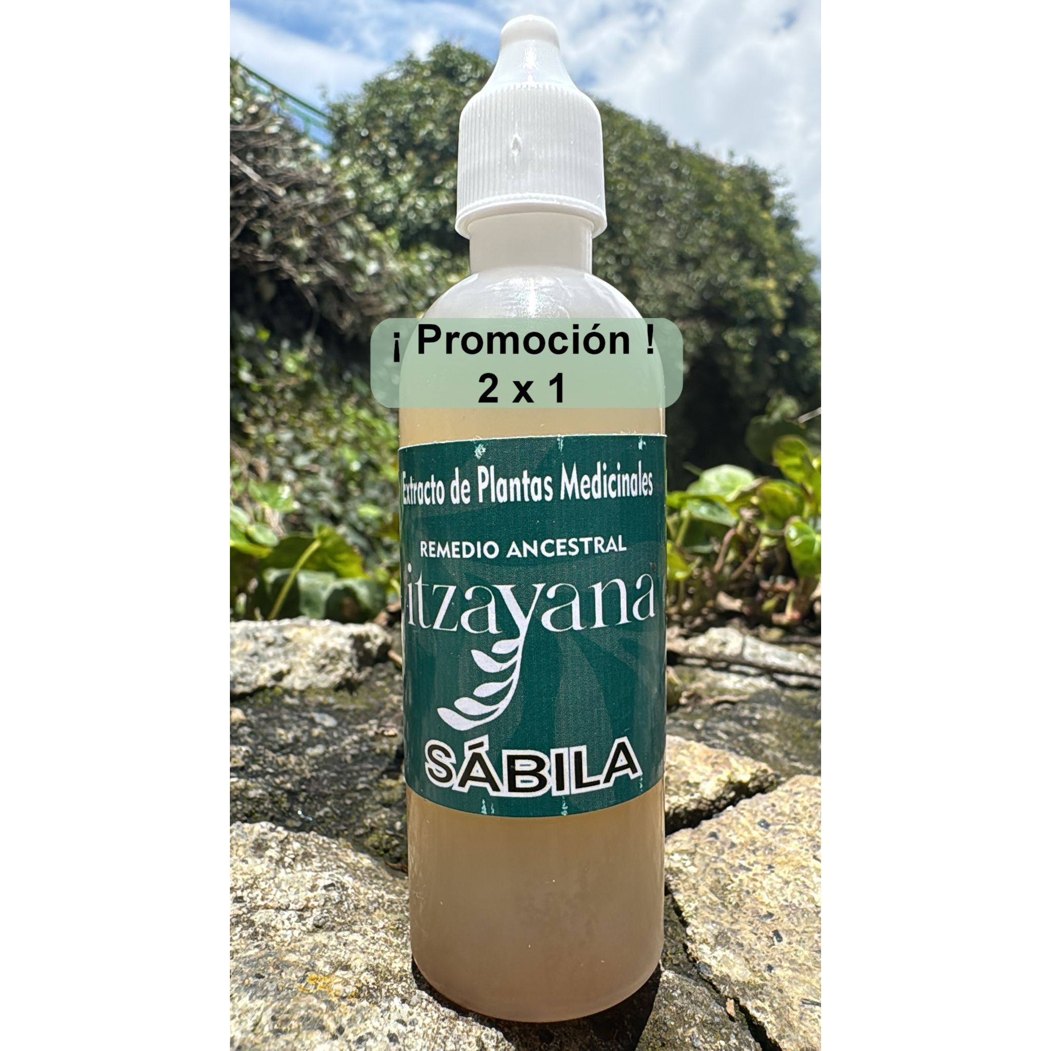 Discover the ITZAYANA-Aloe Tincture, a jewel of Mexican herbalism that captures the pure essence of aloe vera to offer you delicate and effective care. This product, carefully made in Mexico, is an ideal complement for those looking for harmony and balance through natural ingredients.