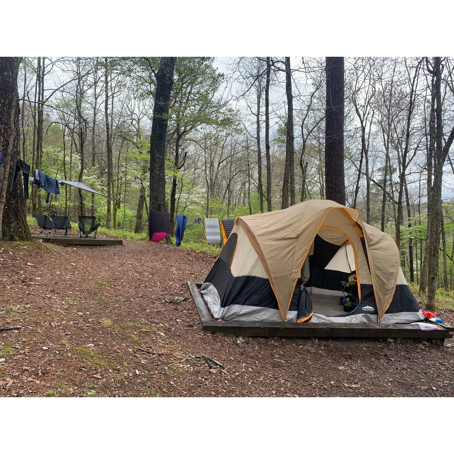 Pigeon Roost Campsite 3 offers a refreshing outdoor experience for nature lovers and adventure seekers. This campsite, favored for its robust terrain that gracefully handles the rain, stays pleasantly free of mud even during extended downpours, allowing guests to embrace the natural setting without the discomfort of soggy grounds. The surrounding dogwood trees provide a spectacular display of blooms that enhance the beauty of the site, creating a picturesque backdrop for campers.

Visitors can enjoy the convenience of well-positioned tent pads designed to accommodate various camp sizes. While some guests recommend choosing larger, more level pads at nearby sites for an optimized camping setup, campers at Pigeon Roost Campsite 3 can still find solace in the incredible serenity that the location offers. Tying tents to rocks is a practical solution embraced by the camping community here, adding to the rustic and self-sufficient charm of the wilderness retreat.

The campsite boasts impressive access to water, inviting guests to take on a rewarding uphill hike that leads to an idyllic spot perfect for enjoying sunsets and dinners by the water's edge. Additionally, the area is rich with local wildlife, with sightings of armadillos providing an interesting glimpse into the native fauna. For those seeking an outdoor escape that provides simple amenities such as tent pads and light hooks, coupled with the opportunity to engage with nature, Pigeon Roost Campsite 3 is a prime choice for creating memorable camping stories. Description by ChatGPT.