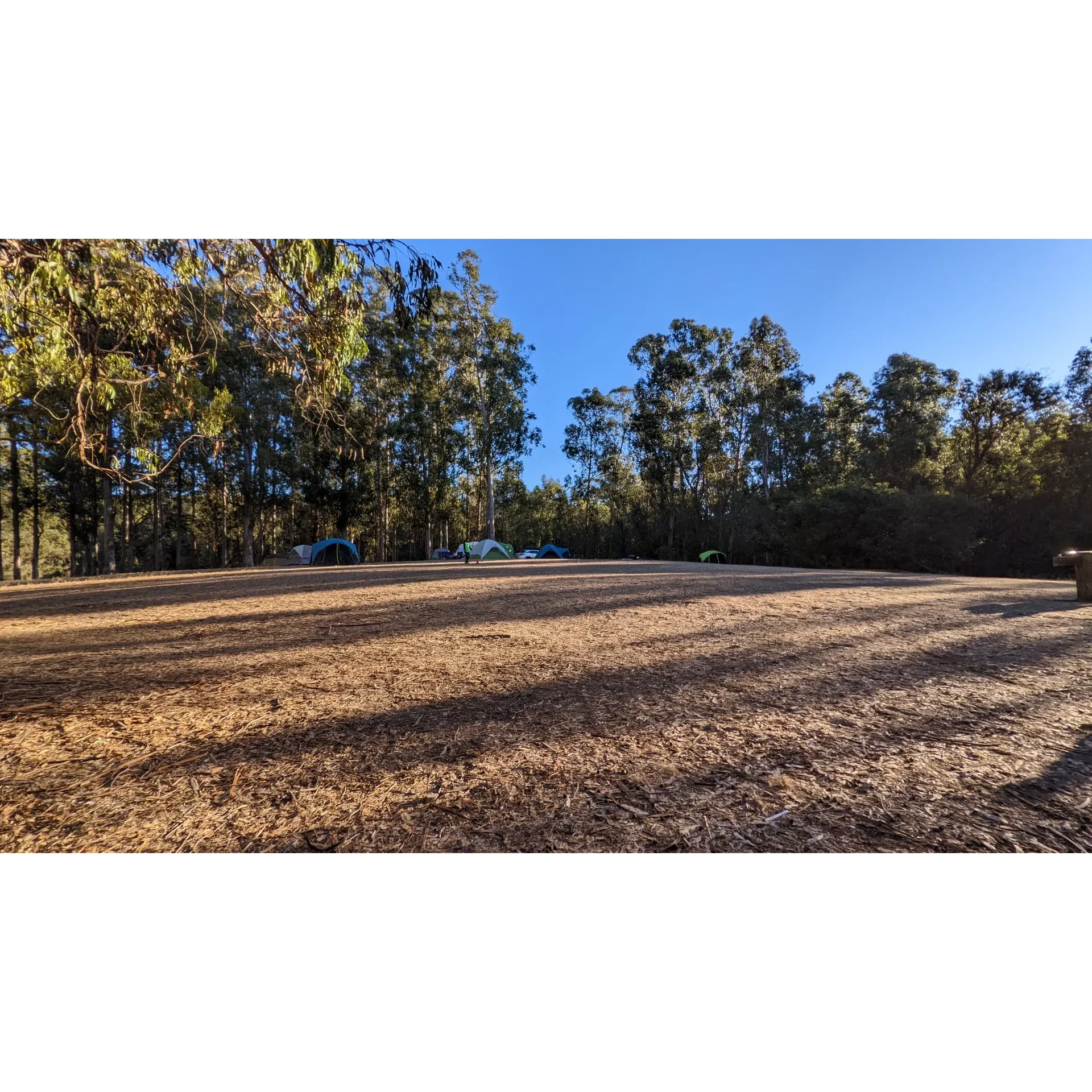 Lookout Ridge Group Camp is a beautiful outdoor camping facility located in Castro Valley, California. This group campsite is ideal for hosting large gatherings such as school groups, church retreats, and family reunions. Nestled in the lush hills of the East Bay, Lookout Ridge offers stunning views of the surrounding forests and valleys, providing the perfect backdrop for a memorable outdoor experience.

The campsite features spacious grounds for tent camping, as well as picnic tables, fire pits, and restroom facilities for added convenience. Visitors can enjoy a variety of outdoor activities such as hiking, bird watching, and stargazing. The serene setting and fresh mountain air make Lookout Ridge Group Camp a popular destination for those looking to escape the hustle and bustle of city life and connect with nature.

Located at 2025 5 Canyons Parkway, Castro Valley, CA 94552, Lookout Ridge Group Camp is easily accessible from the Bay Area and offers a tranquil retreat for groups of all sizes. Whether you're looking to bond with friends and family, explore the great outdoors, or simply relax in nature, Lookout Ridge Group Camp provides an idyllic setting for a truly unforgettable camping experience. Description by ChatGPT.