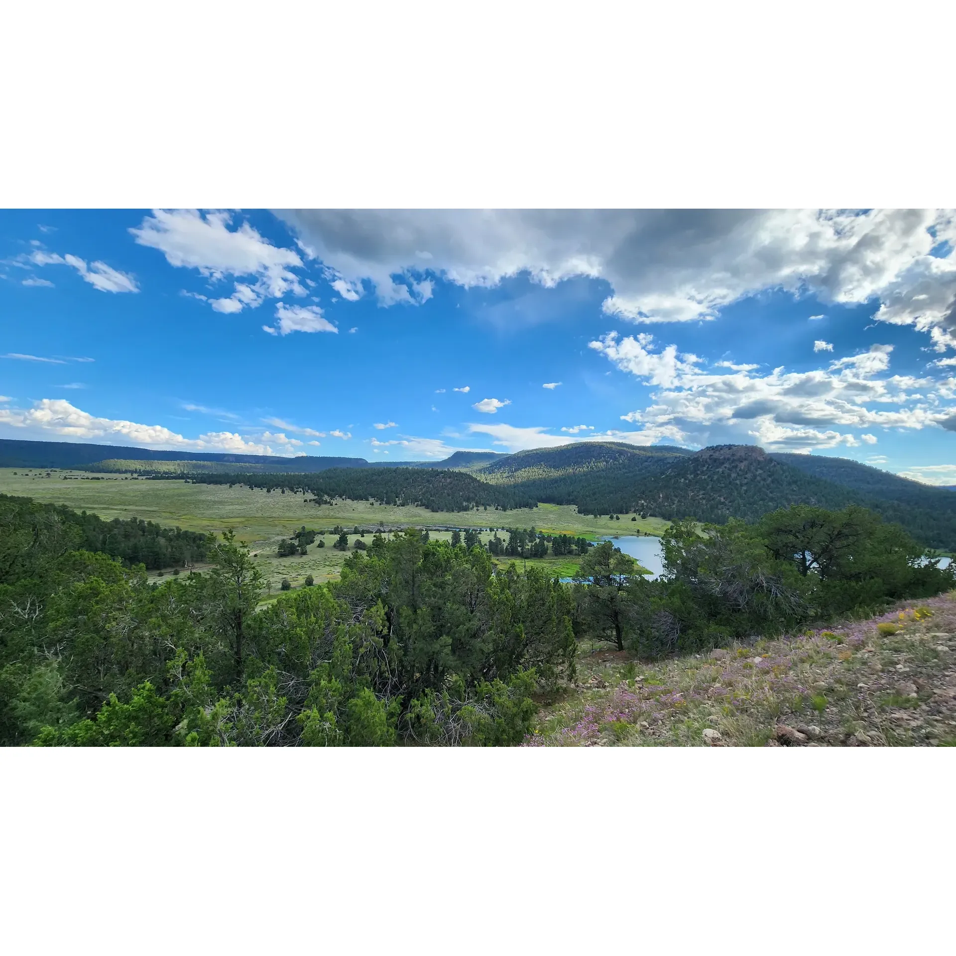 Piñon Campground emerges as a serene outdoor sanctuary that offers visitors an intimate interaction with the natural world. It's a place where one can bask in splendid isolation or engage in quiet contemplation, with sounds of nature as a gentle backdrop. The campground boasts a pristine landscape, fresh from a comprehensive cleanup, presenting a well-maintained setting for camp enthusiasts. 

The pristine bathroom facilities reflect the campground's commitment to cleanliness and visitor comfort. Guests have been delighted by sightings of wildlife, adding to the enchantment of their stay, with elk occasionally meandering through the sites, creating unforgettable moments.

Outdoor enthusiasts appreciate the ample space provided by the campground's generous sites, allowing for a comfortable and spacious outdoor living area. The warmth of hospitality here is embodied by the attentive camp host, whose presence enhances the overall camping experience with a personal touch and genuine care for guest satisfaction.

Piñon Campground also offers a picturesque vantage point for nature lovers, with some spots offering captivating views of the nearby lake, where the dance of ospreys fishing and the shimmering water at sunset create a surreal experience. Evenings are particularly magical, with the haunting calls of elk echoing through the landscape, crafting an authentic wilderness atmosphere.

While ensuring essential amenities are available, the campground encourages a spirit of adventure and self-sufficiency, cherishes quietude, and provides a modestly priced escape for both tent campers and those with smaller trailers. It's a haven where one can reconnect with nature, savor the tranquility, and depart with a trove of cherished memories. As visitors depart, many eagerly anticipate their next visit to Piñon Campground, a testament to its allure and the captivating experiences it provides. Description by ChatGPT.