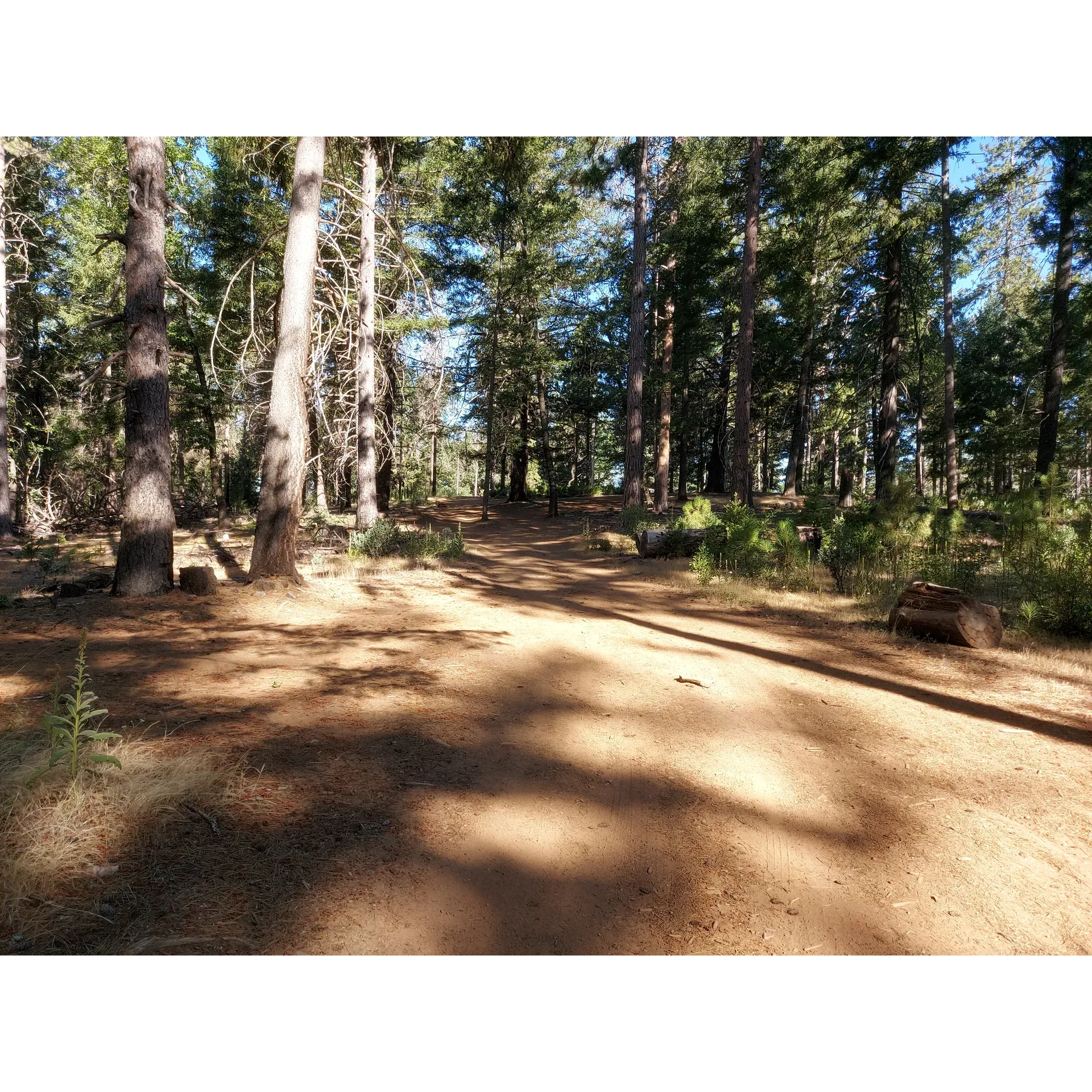 Lakeview Campground offers a serene and picturesque retreat for outdoor enthusiasts seeking to immerse themselves in a tranquil wilderness experience. Visitors are treated to breathtaking views of the lake, providing a perfect backdrop for nature photography or simply soaking in the beauty of the surroundings.

As a favorite spot for disperse camping, Lakeview Campground boasts ample flat areas suitable for pitching tents and enjoying the great outdoors. Campers frequently note the beauty and stillness of the area, making it a coveted destination for those looking to escape the bustle of everyday life.

Adventurous travelers will appreciate the remote and quiet setting, which offers the chance to spot local wildlife such as the occasional black bear in its natural habitat – glimpses that can make for thrilling experiences and memories to last a lifetime.

Accessibility to the campground promises to be part of the adventure, with recommendations for high clearance vehicles to traverse the dirt roads, some of which present a washboard surface that adds to the rugged charm of the journey. Despite the rough terrain, the roads are generally well-maintained, and during dry weather conditions, even travelers in small sedans have found their way to this secluded paradise without difficulty.

For an authentic camping experience, visitors should come prepared with their provisions, as the campground operates under a carry-in, carry-out policy, highlighting the importance of leaving no trace to preserve the natural environment. Beyond its scenic allure, Lakeview Campground has the added benefit of cell service, allowing campers to remain connected, even while off the grid.

While enjoying the enigmatic lake views and the solitude of the wilderness at Lakeview Campground, guests are reminded to obtain the necessary permits for campfires and to adhere to local guidelines to ensure a safe and enjoyable experience for everyone. With its stunning lake vistas and peaceful ambiance, Lakeview Campground stands out as an idyllic destination for campers seeking a pristine and remote outdoor retreat. Description by ChatGPT.