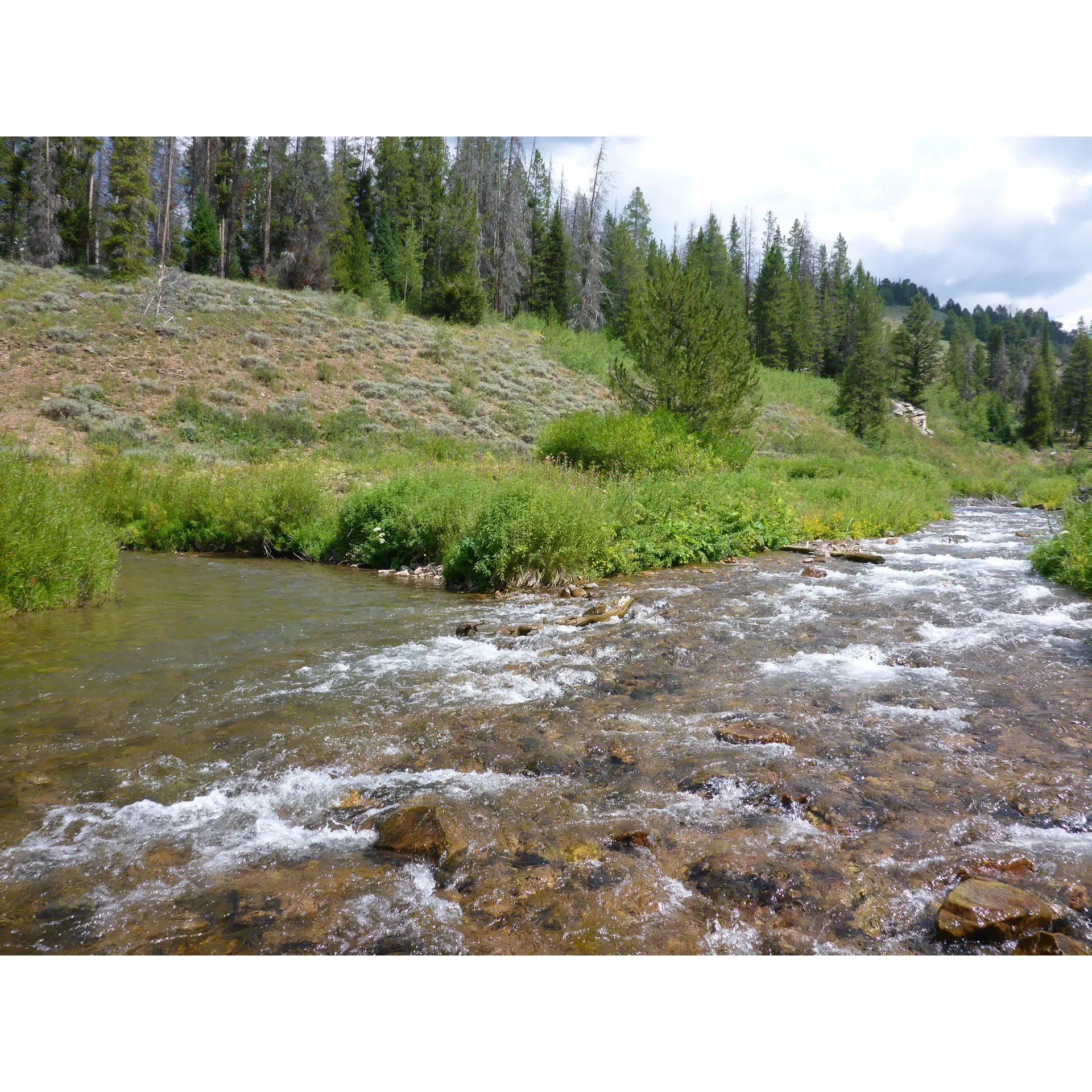 Hobble Creek Campground offers an authentic outdoor experience for those seeking solitude and a strong connection with nature. Located approximately 35 miles away from the nearest town, this campground represents a true haven for adventure enthusiasts and peace seekers alike.

The rustic charm of Hobble Creek Campground has remained consistent over the years, maintaining its character as an untouched retreat within the wilderness. Its prestigious recognition by the forest service as one of the most remote campgrounds in the lower 48 states is a testament to its serenity and the privacy it offers.

Visitors to the campground have the opportunity to spend their days exploring the scenic trails leading to destinations such as the enchanting Lake Alice. Anglers will find joy in the miles of creek that provide an idyllic fishing experience, teeming with life and inviting a practice of catch and release to preserve its natural bounty.

The crystal-clear water from the onsite pump, although occasionally carrying a hint of sand, is refreshingly good, adding a touch of rugged convenience to the camping experience.

As a secluded getaway, Hobble Creek Campground is accessible via a Ford crossing, which adds an element of adventure to arriving at the location. Guests are advised to watch for high water, ensuring a safe crossing into the heart of the wilderness.

Set against the backdrop of beautiful scenery, each campsite is thoughtfully positioned alongside the creek, allowing visitors to fall asleep and awaken to the melodious sounds of rushing water.

Whether you are looking to disconnect from the world, find inspiration in the beauty of the outdoors, or simply enjoy a peaceful escape, Hoblog Creek Campground is a place where memories are made and the spirit of the wild is alive and well. Description by ChatGPT.